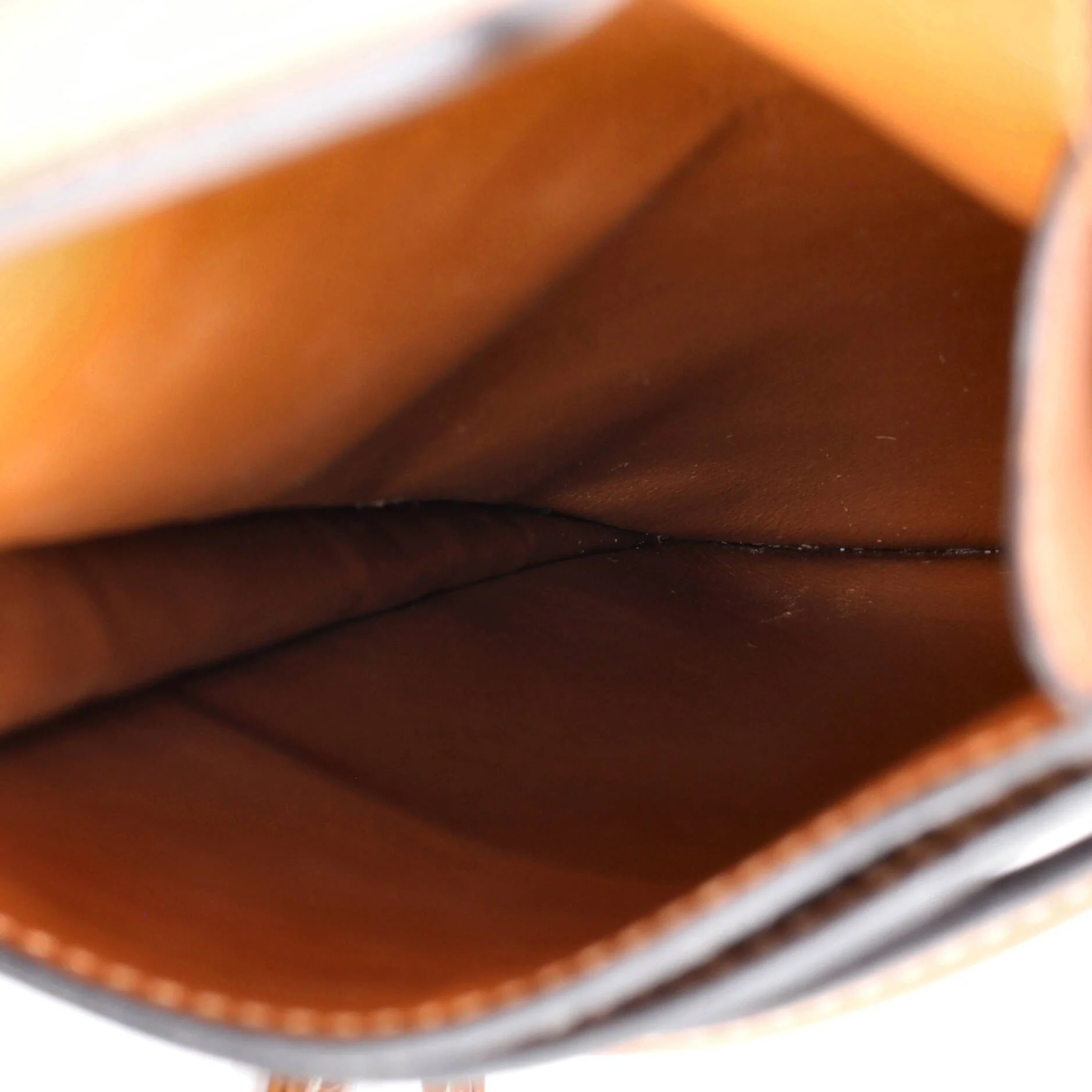 Phone Pouch Crossbody Triomphe Coated Canvas and Leather - Image 5