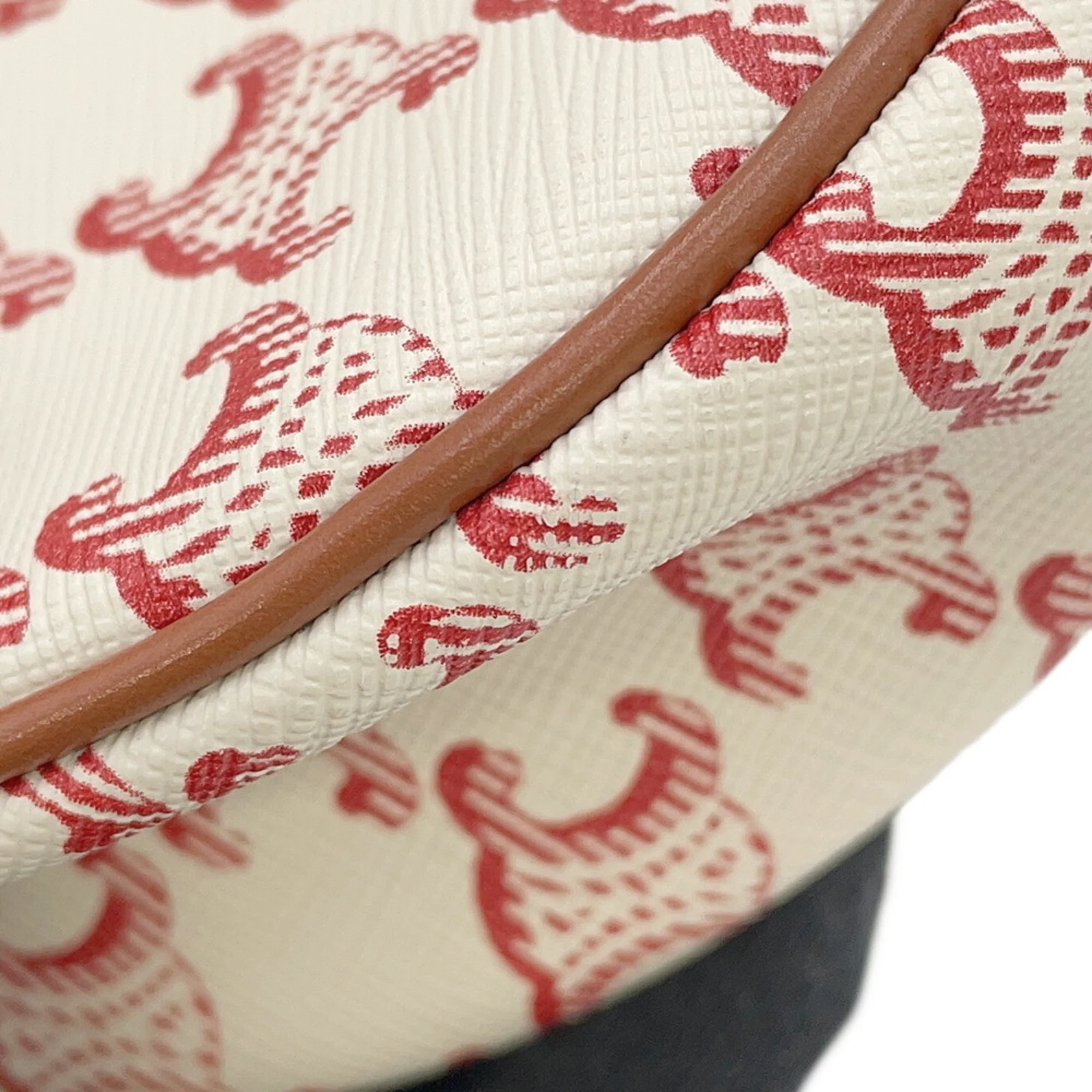 Ava Bag Triomphe Coated Canvas - Image 7