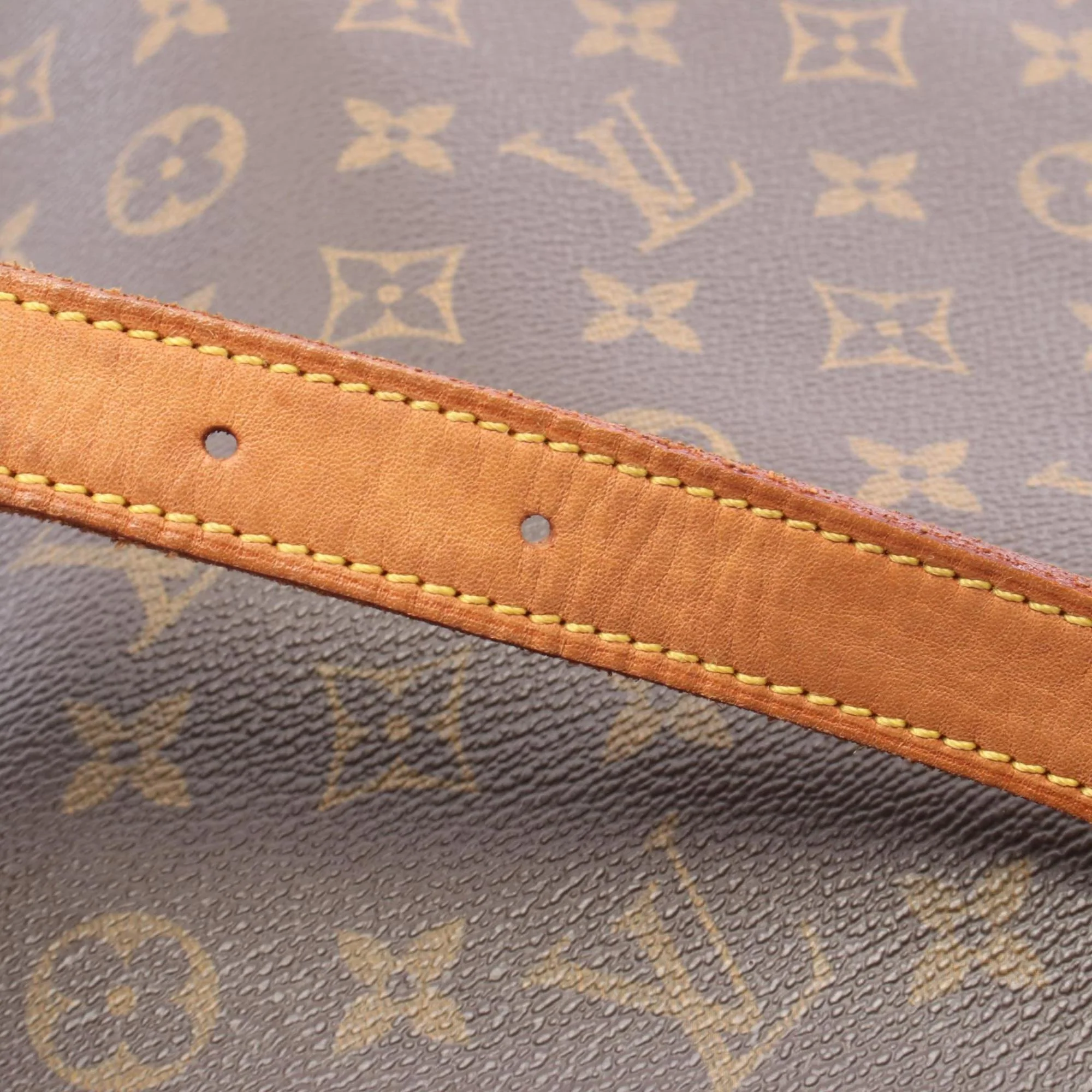 Musette Salsa Handbag Monogram Canvas GM - Image 9