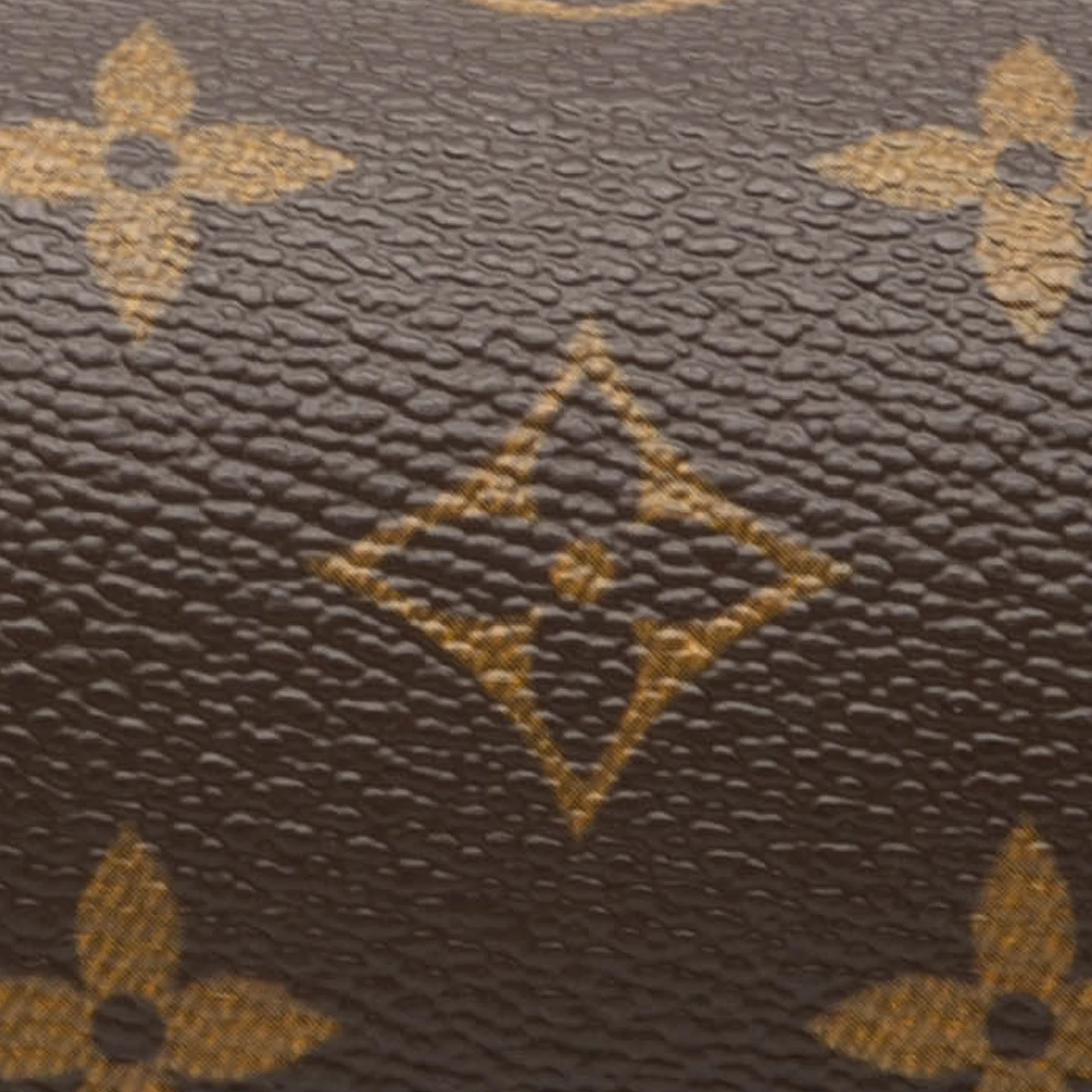 Papillon Pochette Monogram Canvas Mini - Image 6
