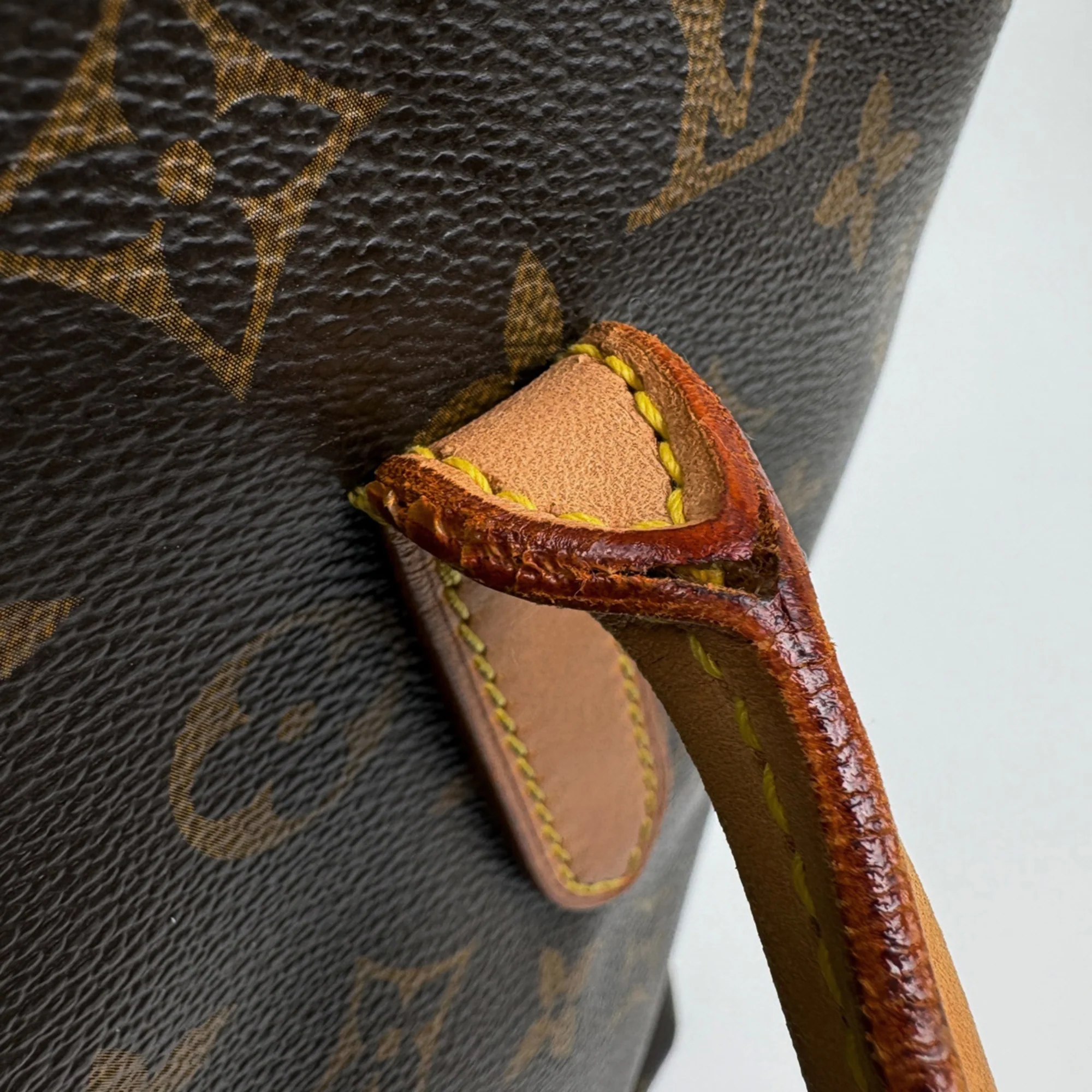 Raspail Tote Monogram Canvas PM - Image 4