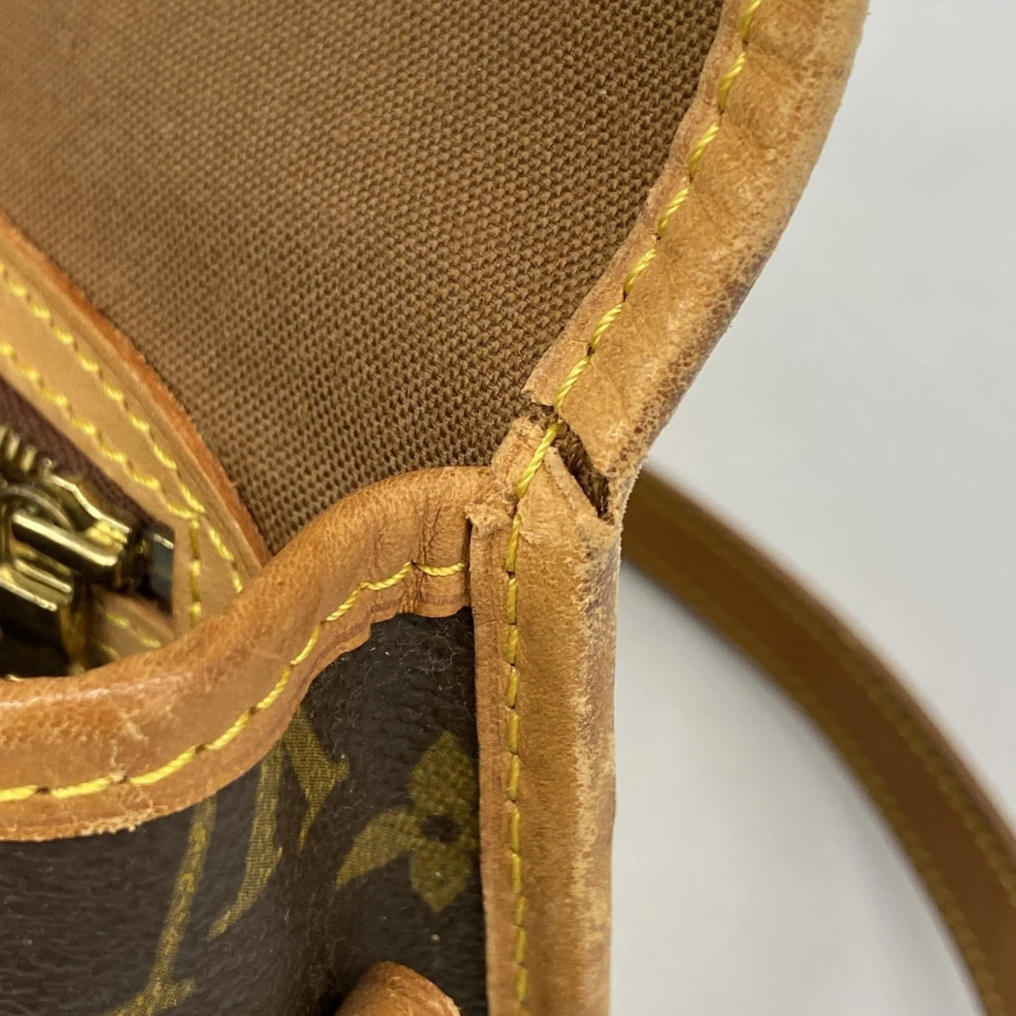 Sologne Handbag Monogram Canvas - Image 7