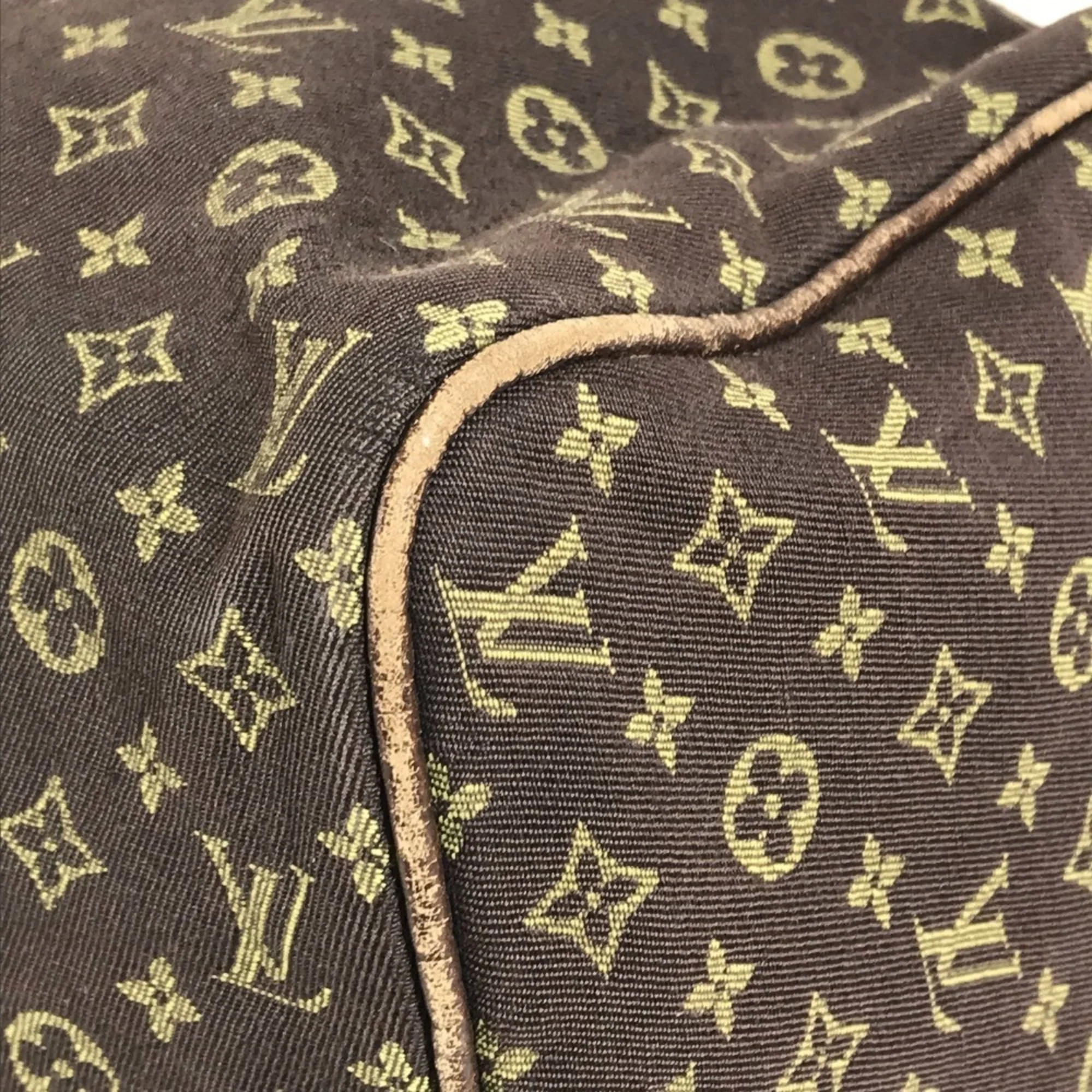 Speedy Handbag Mini Lin 30 - Image 6