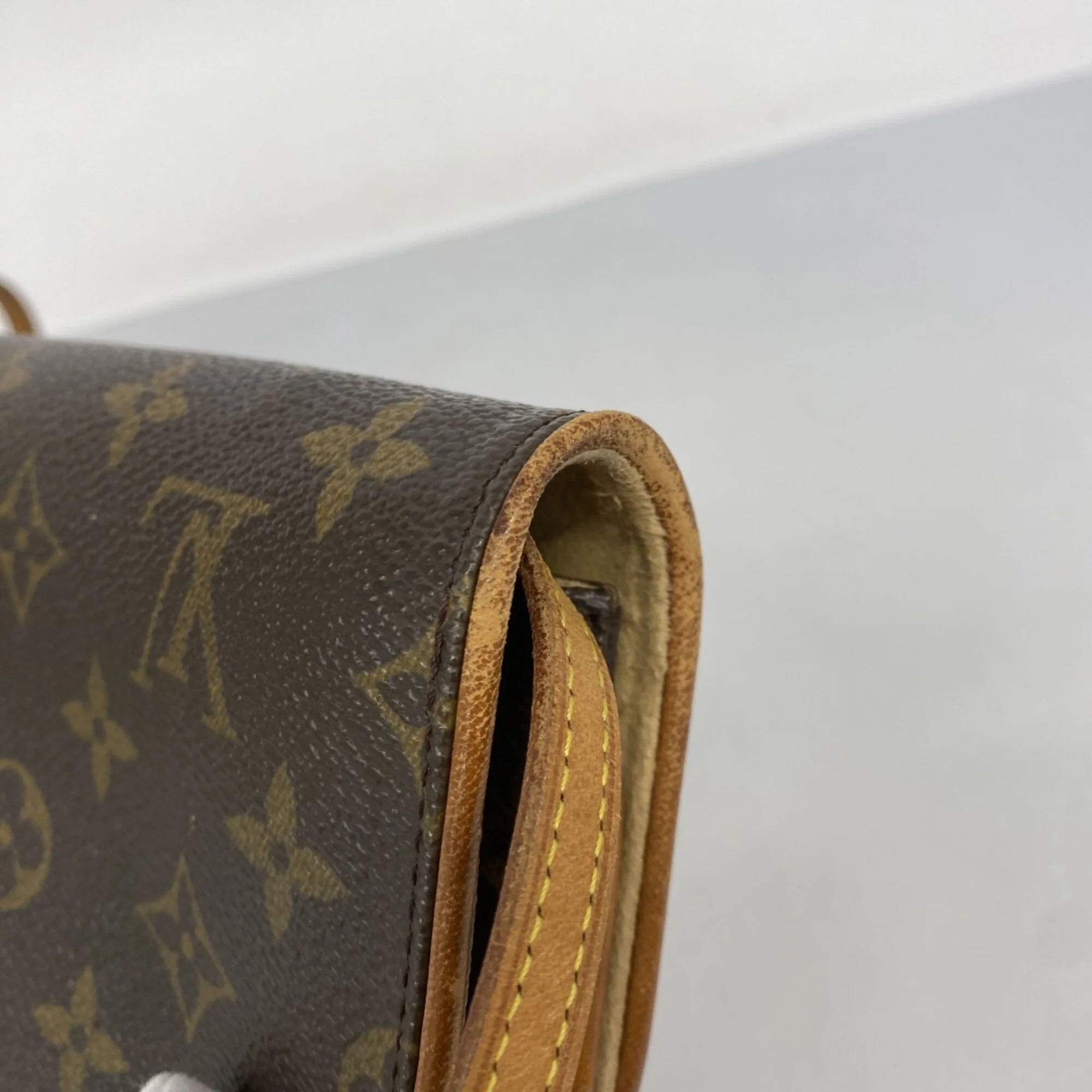 Twin Handbag Monogram Canvas GM - Image 7