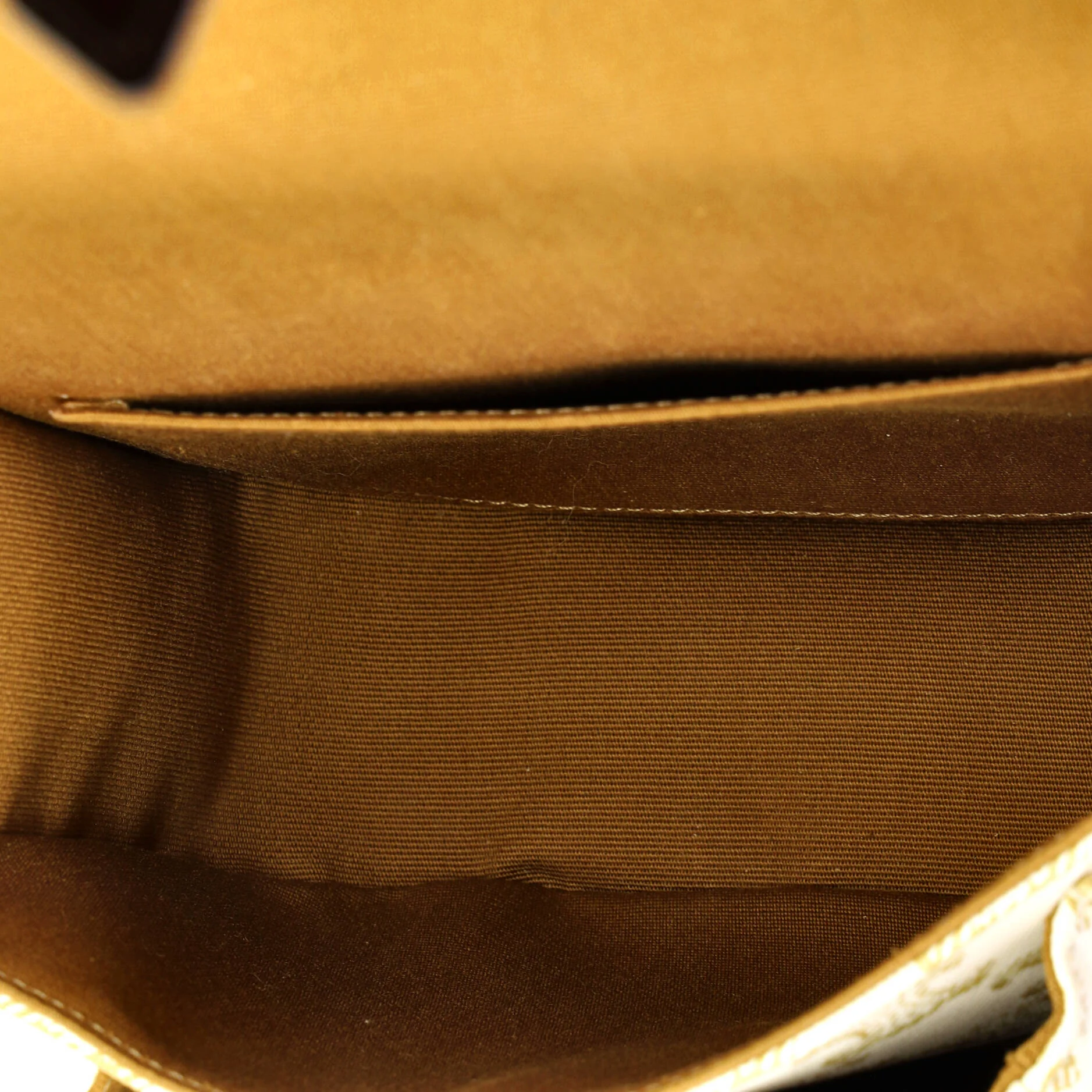 Folco Bag Triomphe Coated Canvas Medium - Image 5