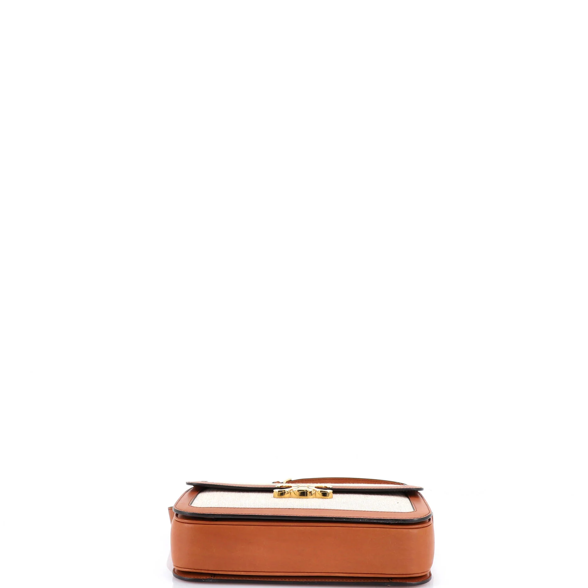 Triomphe Shoulder Bag Canvas with Leather Medium - Image 4