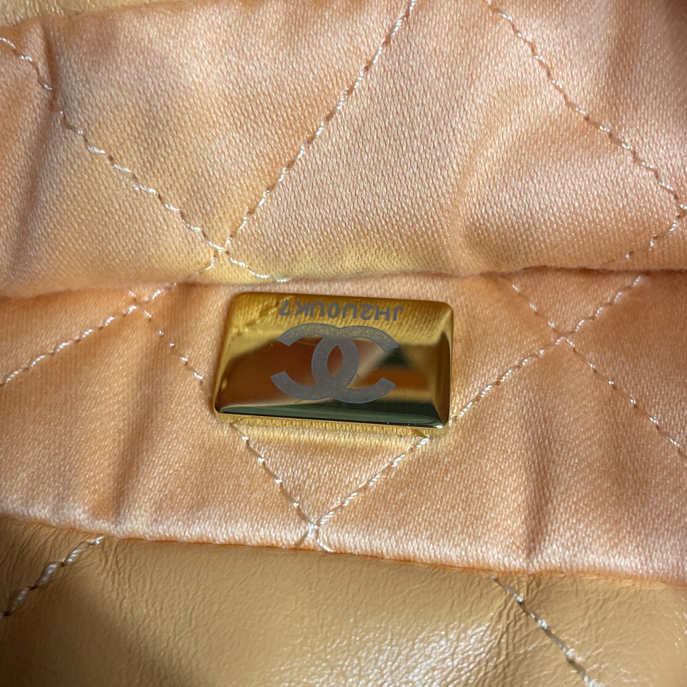 22 Chain Hobo Quilted Calfskin Mini - Image 6