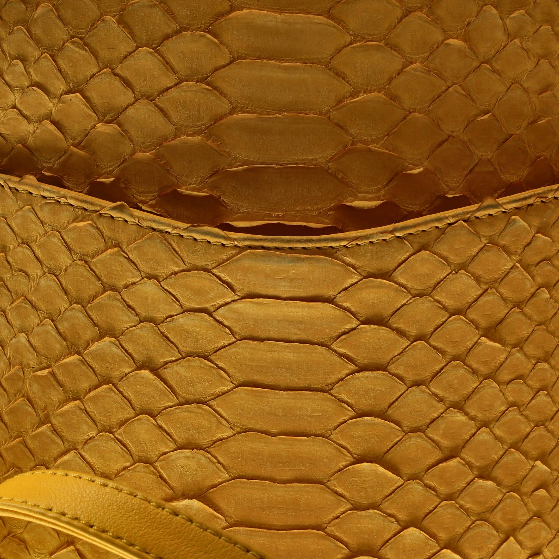 Urban Spirit Backpack Python Small - Image 7