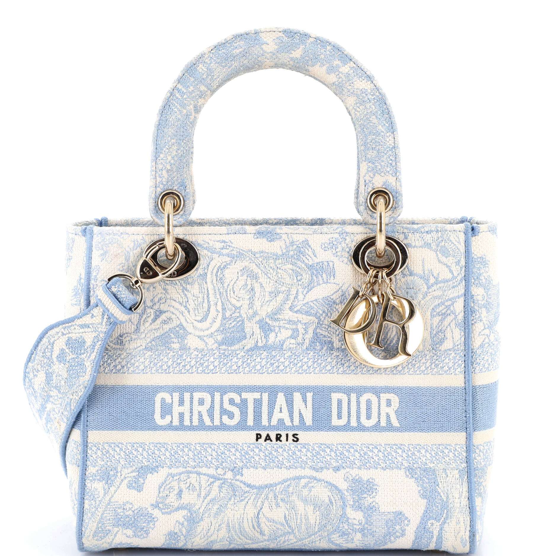 Lady D-Lite Bag Embroidered Canvas Medium