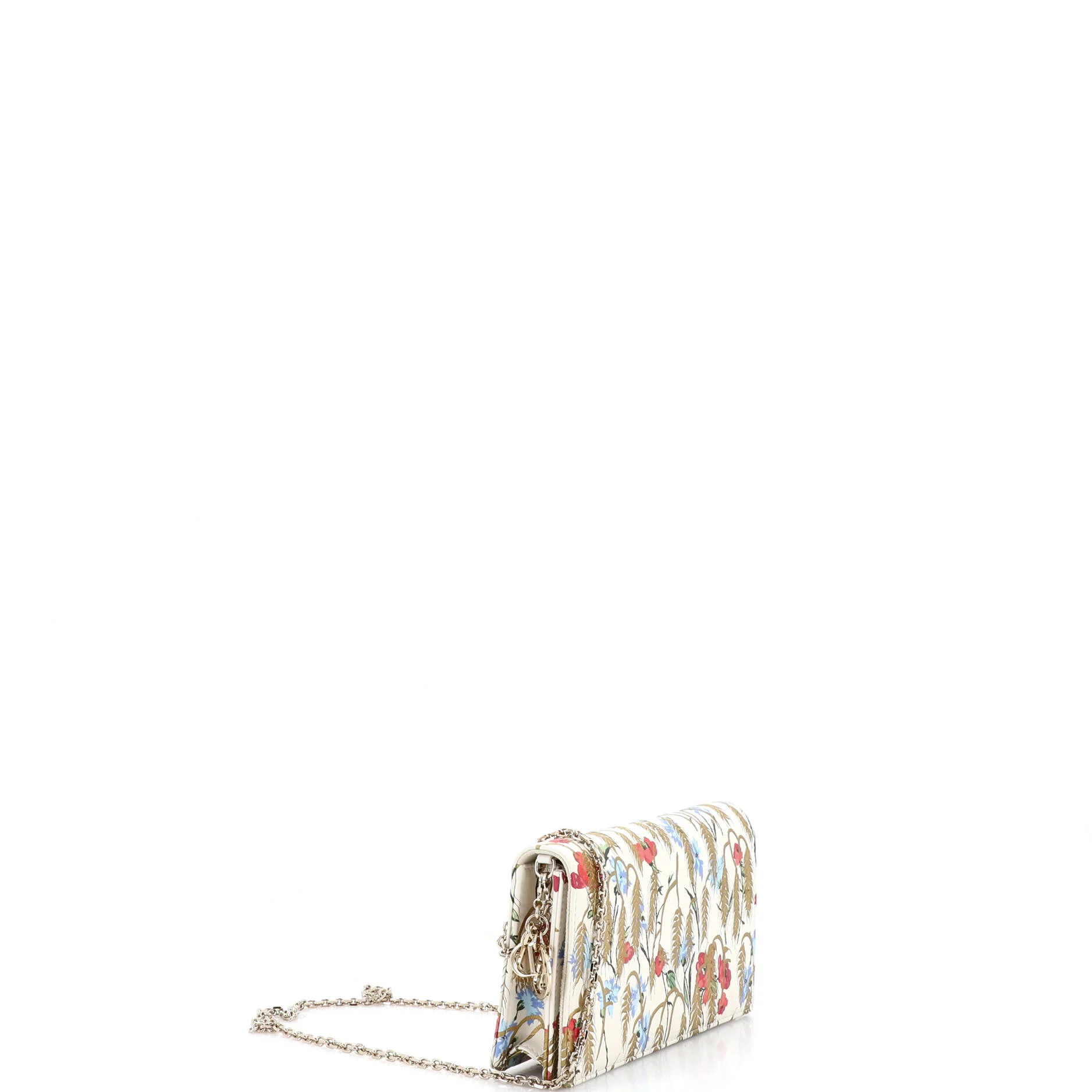 Lady Dior Wallet on Chain Pouch Printed Leather - Image 2