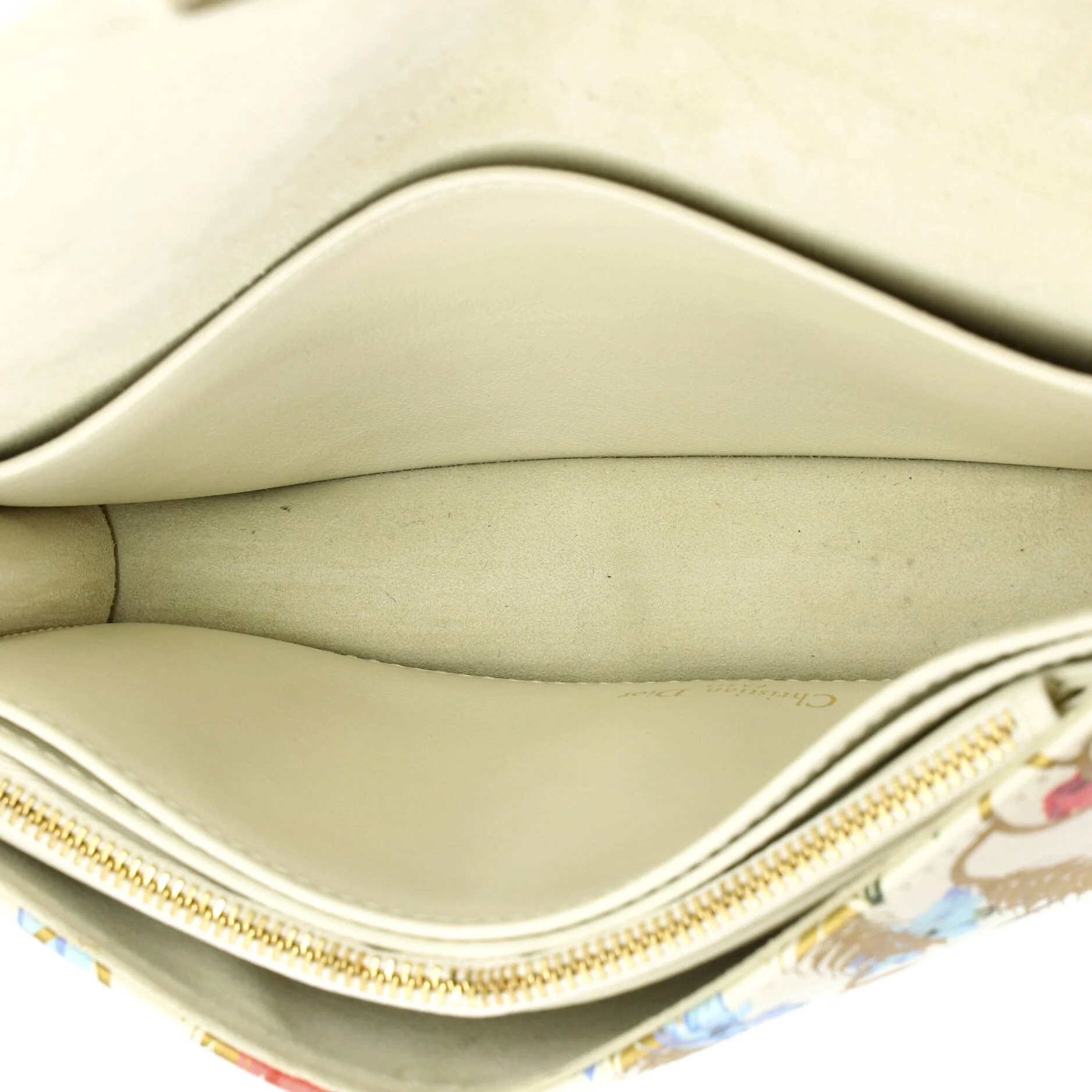 Lady Dior Wallet on Chain Pouch Printed Leather - Image 5
