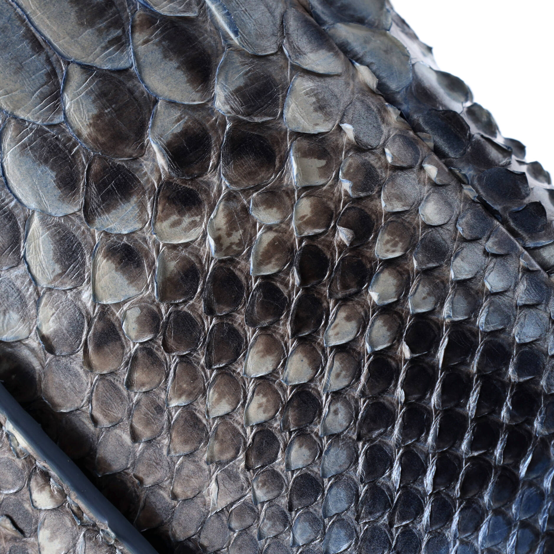 Saddle Handbag Python Medium - Image 6