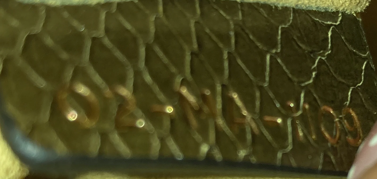 Saddle Handbag Python Mini - Image 6