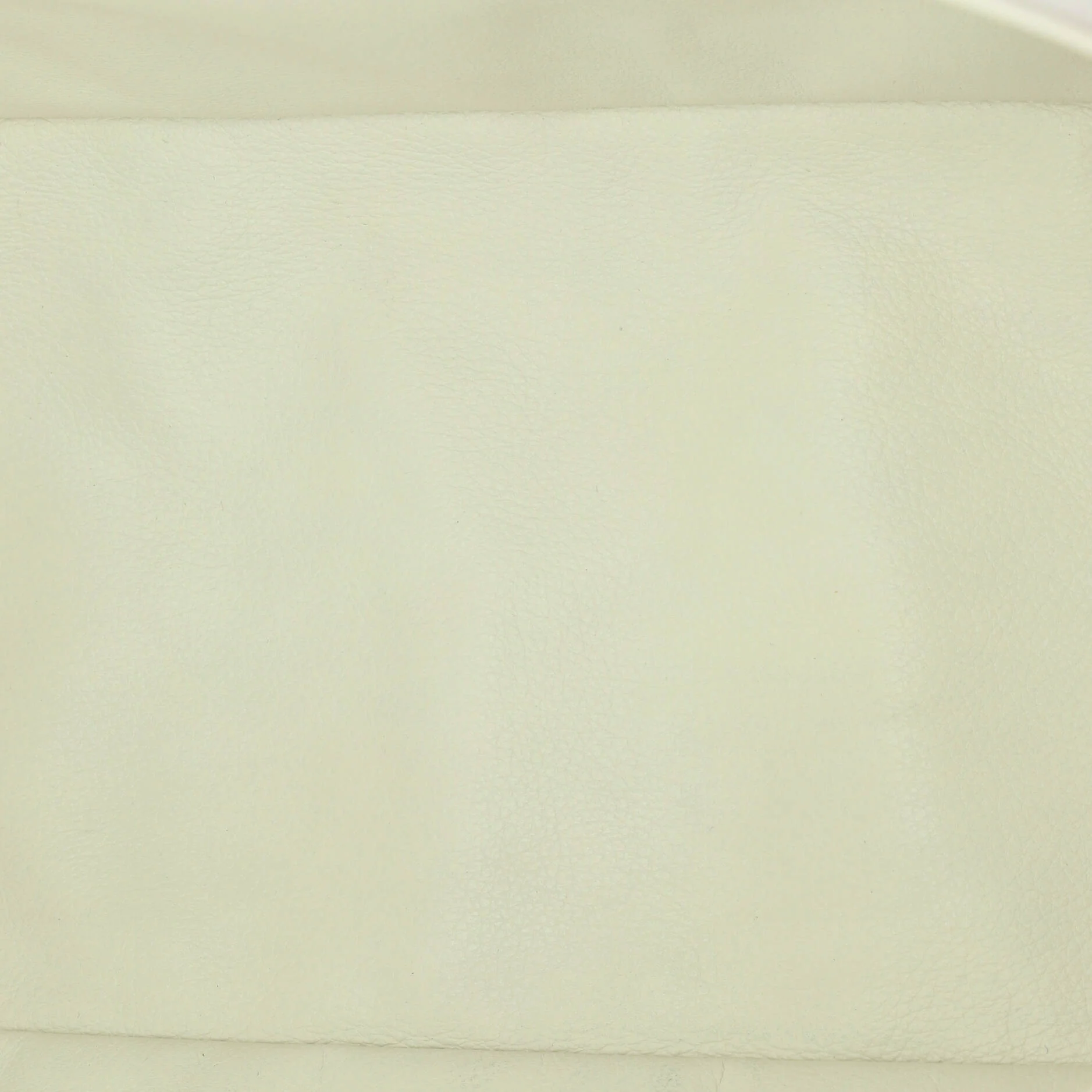 Anjou Reversible Tote Coated Canvas PM - Image 6