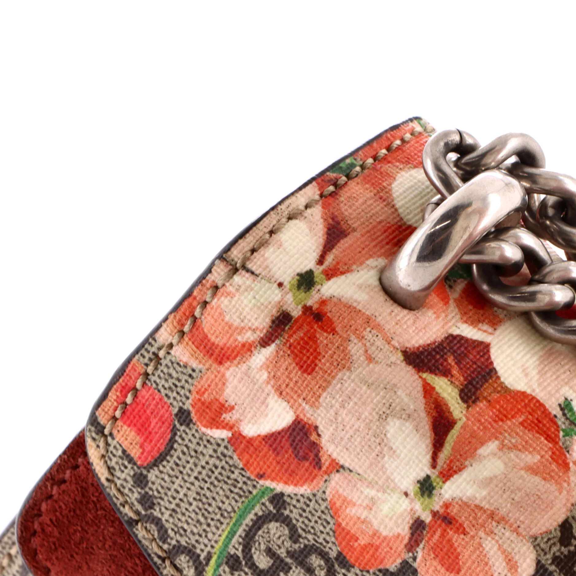 Dionysus Bag Blooms Print GG Coated Canvas Mini - Image 6