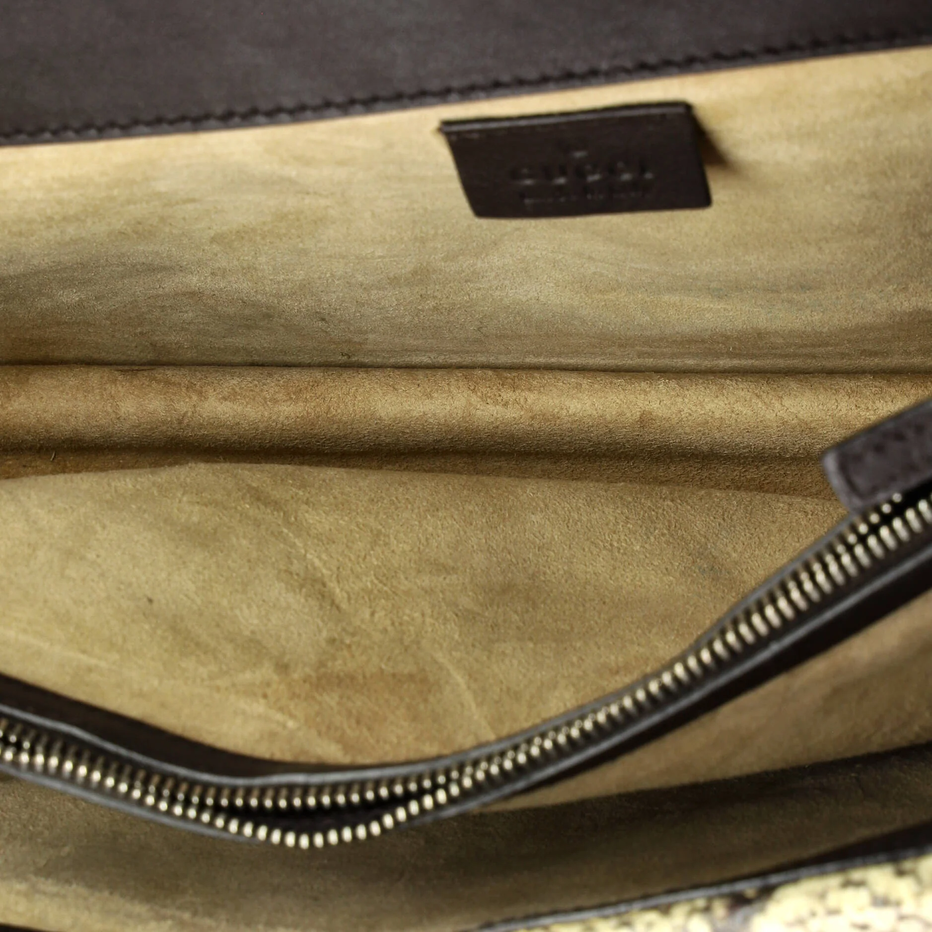 Dionysus Bag Embroidered GG Coated Canvas with Python Small - Image 5