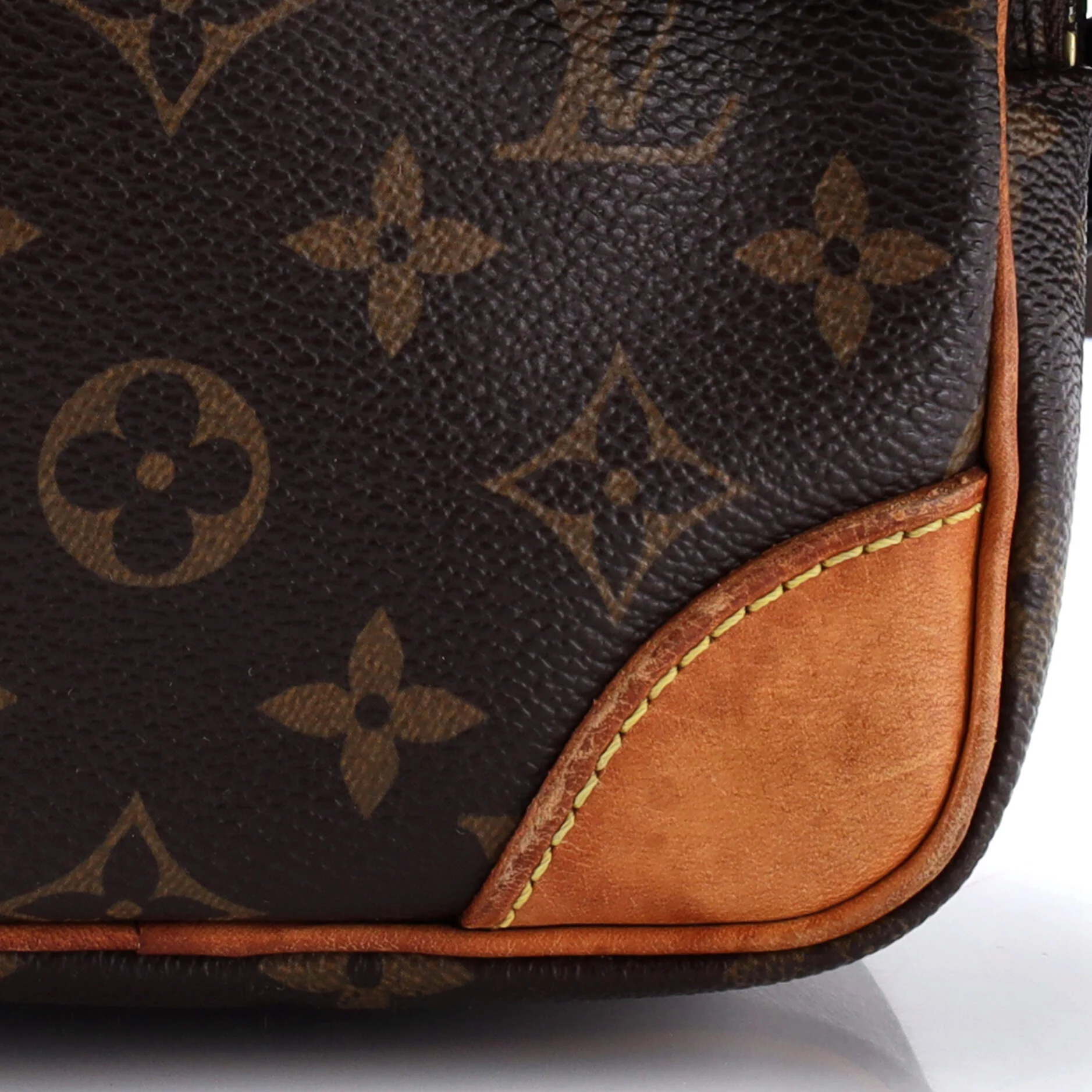 Amazone Bag Monogram Canvas Mini - Image 5