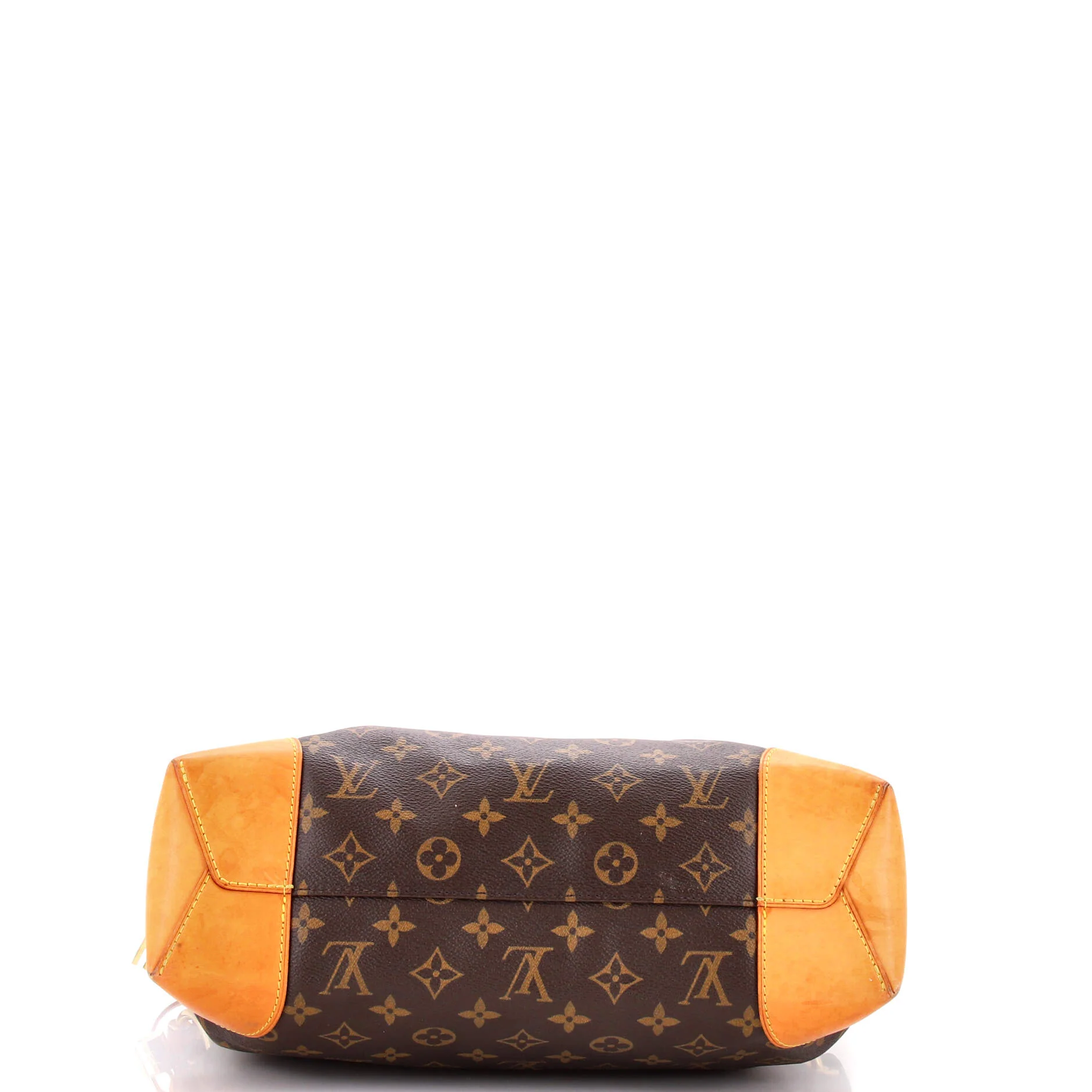 Berri Handbag Monogram Canvas PM - Image 4
