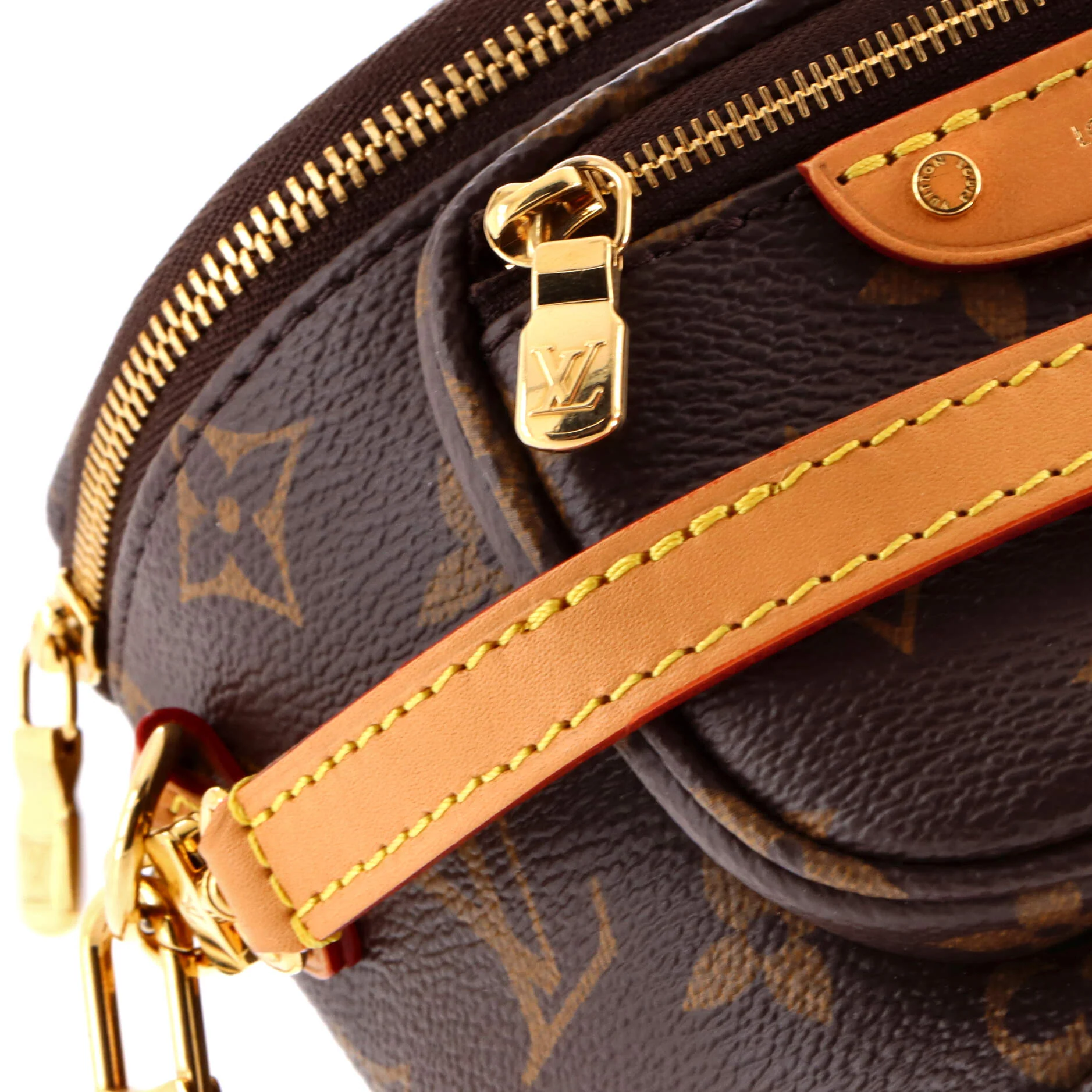 Bum Bag Monogram Canvas Mini - Image 6
