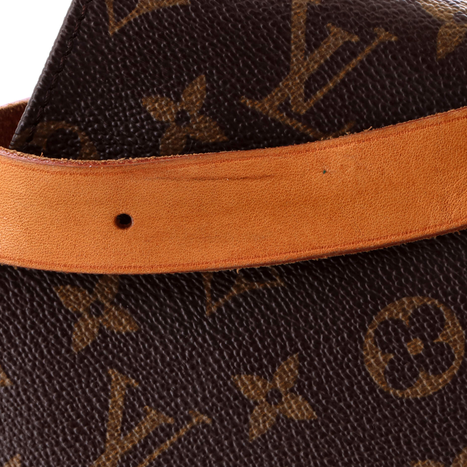 Cartouchiere Handbag Monogram Canvas GM - Image 7