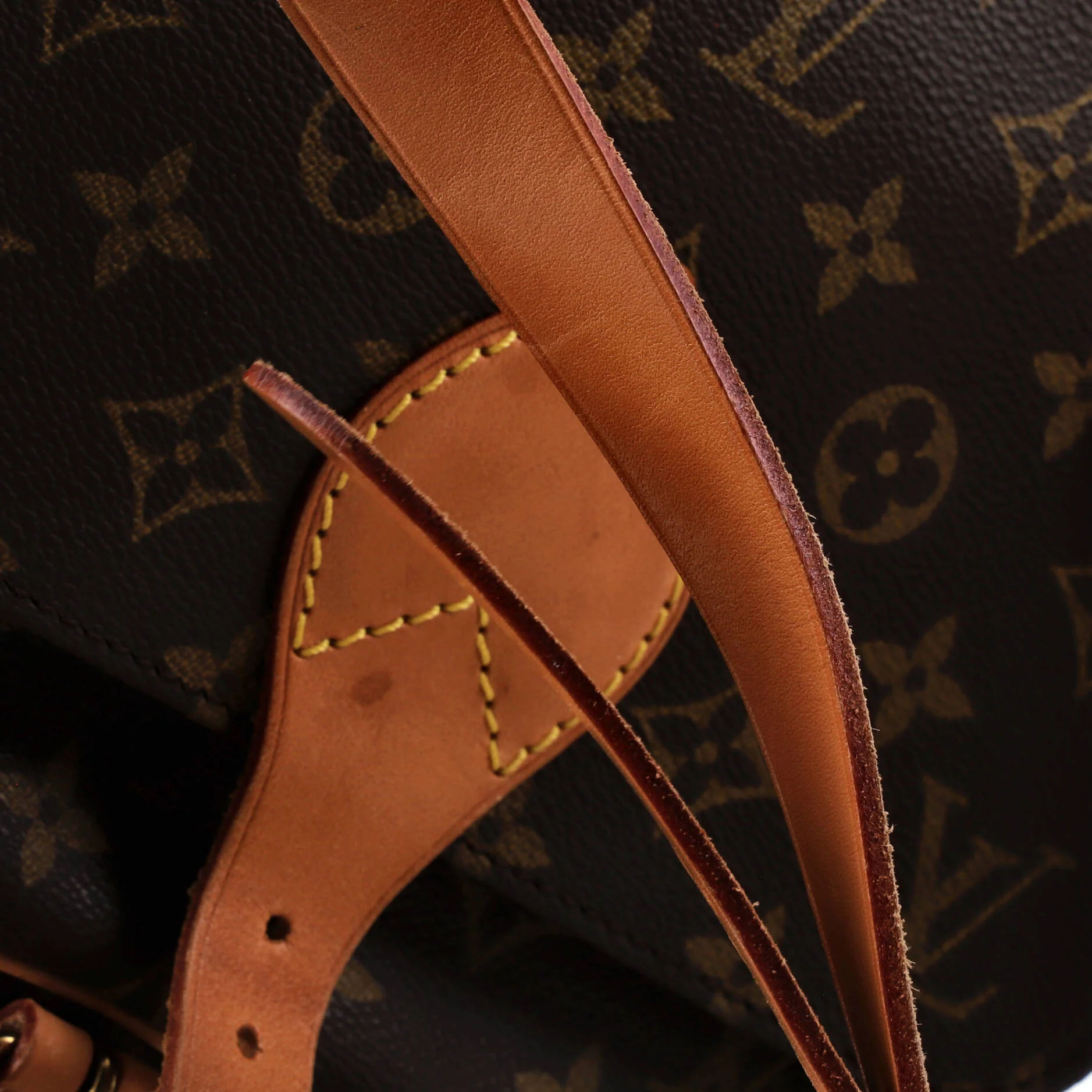 Cartouchiere Handbag Monogram Canvas MM - Image 8