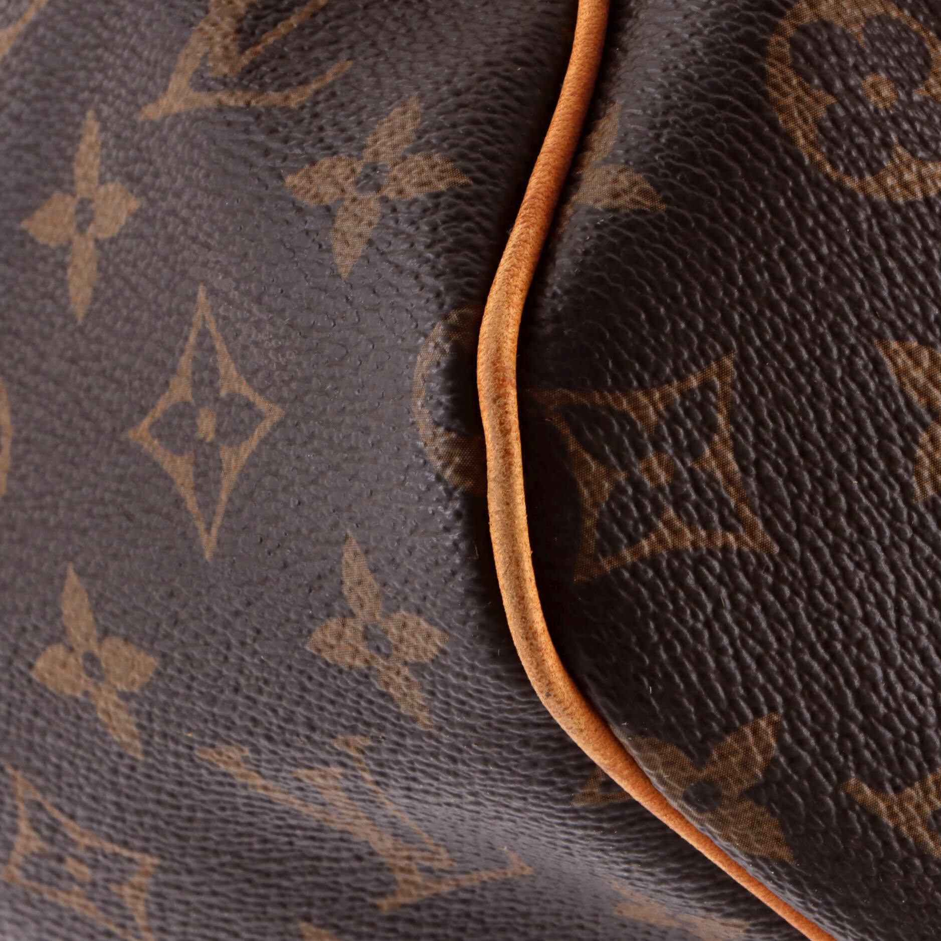 Delightful Handbag Monogram Canvas GM - Image 6