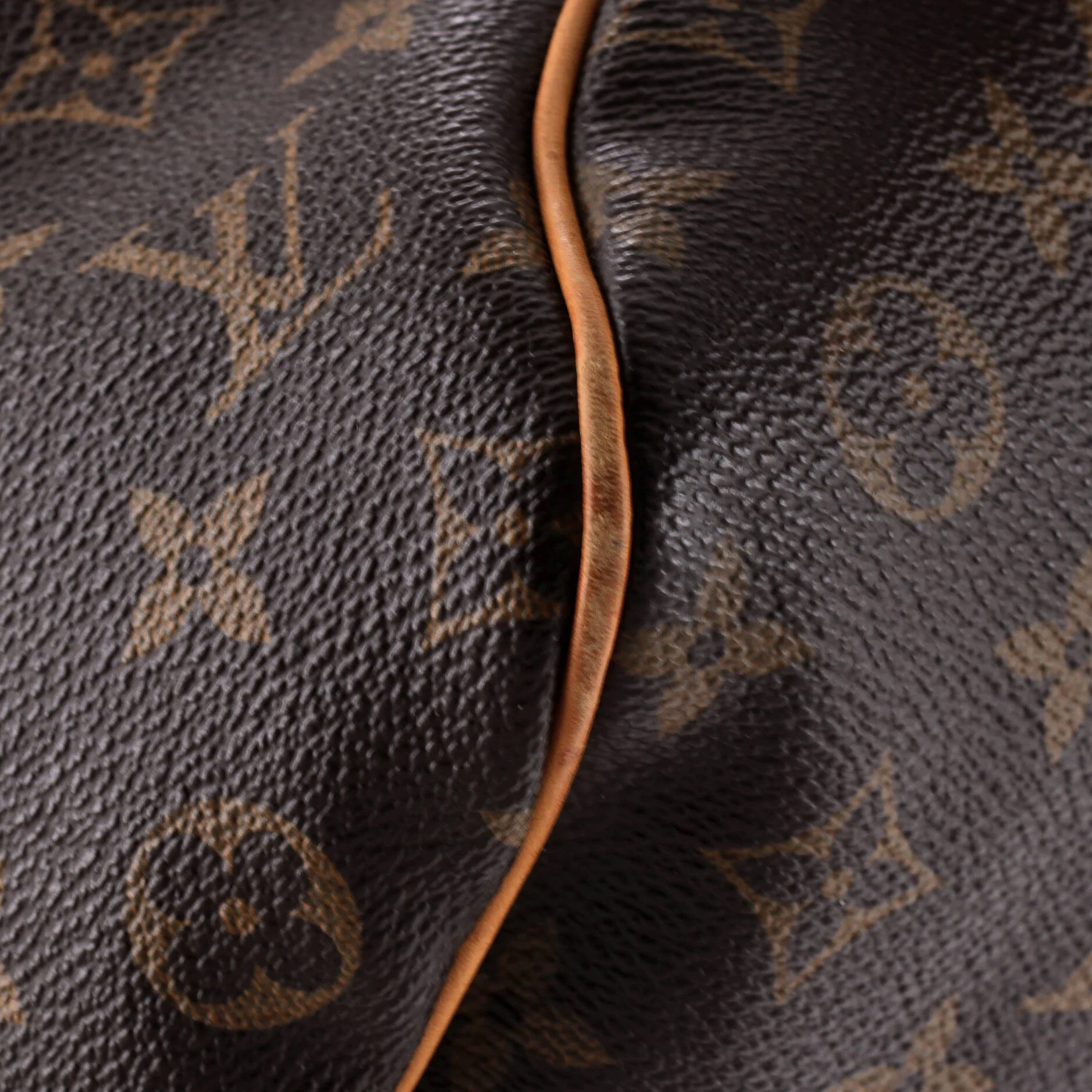 Delightful Handbag Monogram Canvas PM - Image 6