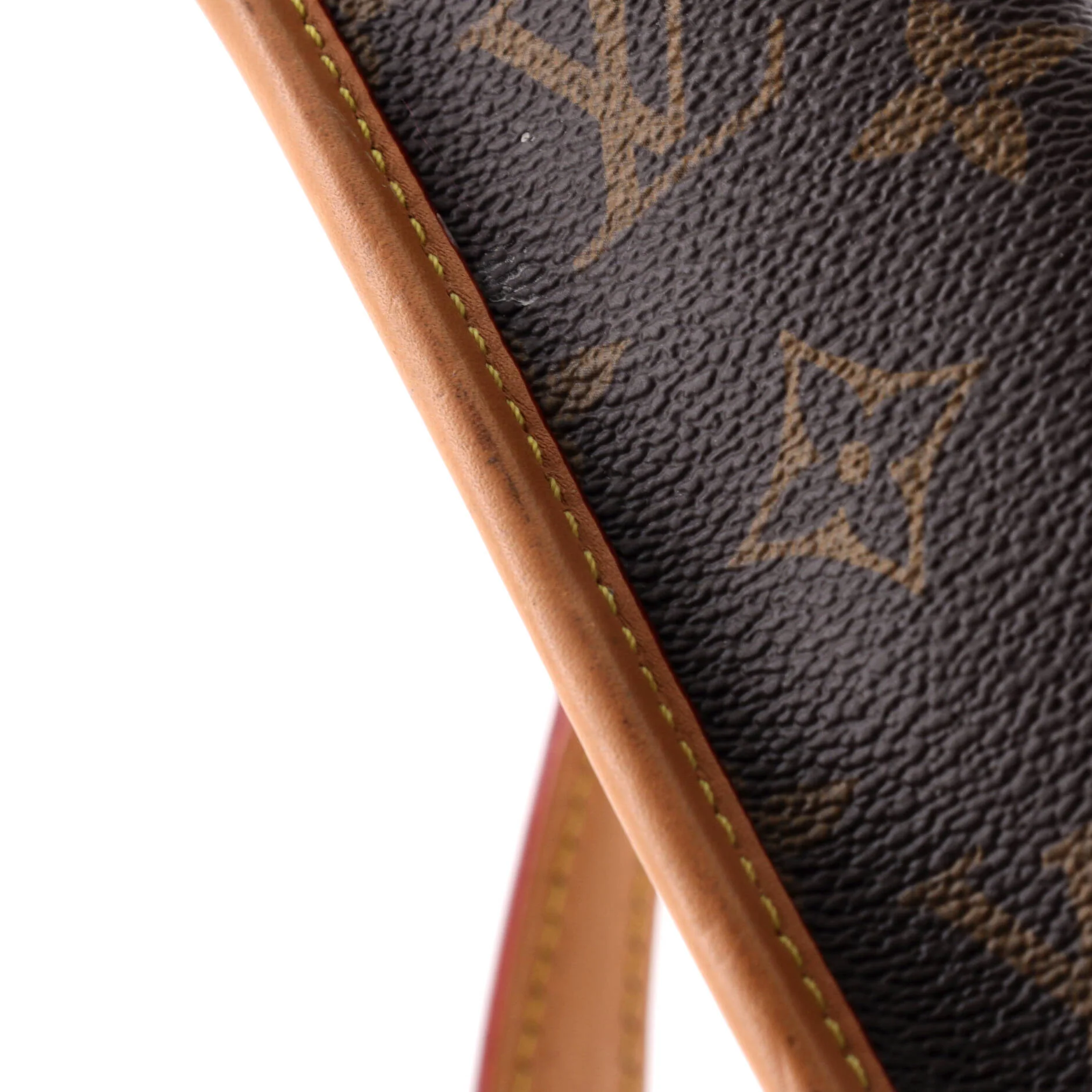 Diane NM Handbag Monogram Canvas Nano - Image 6