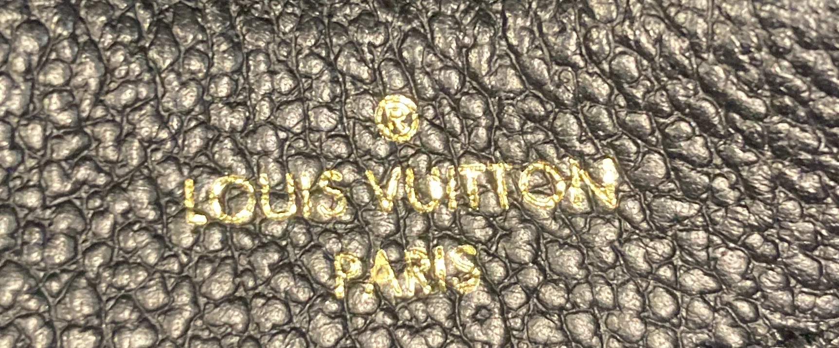 Diane NM Handbag Monogram Empreinte Giant - Image 9