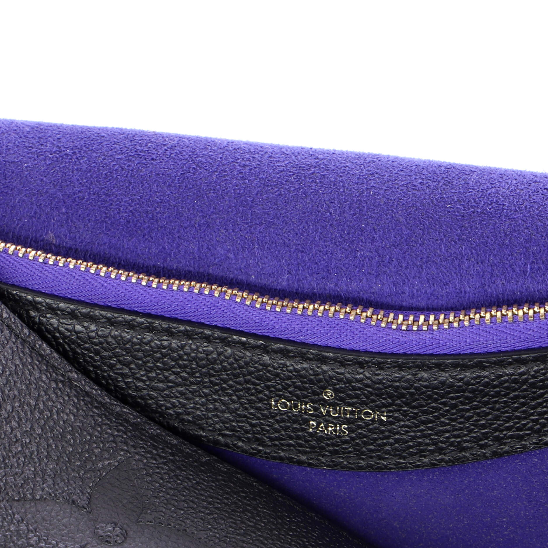 Diane NM Handbag Monogram Empreinte Giant - Image 7