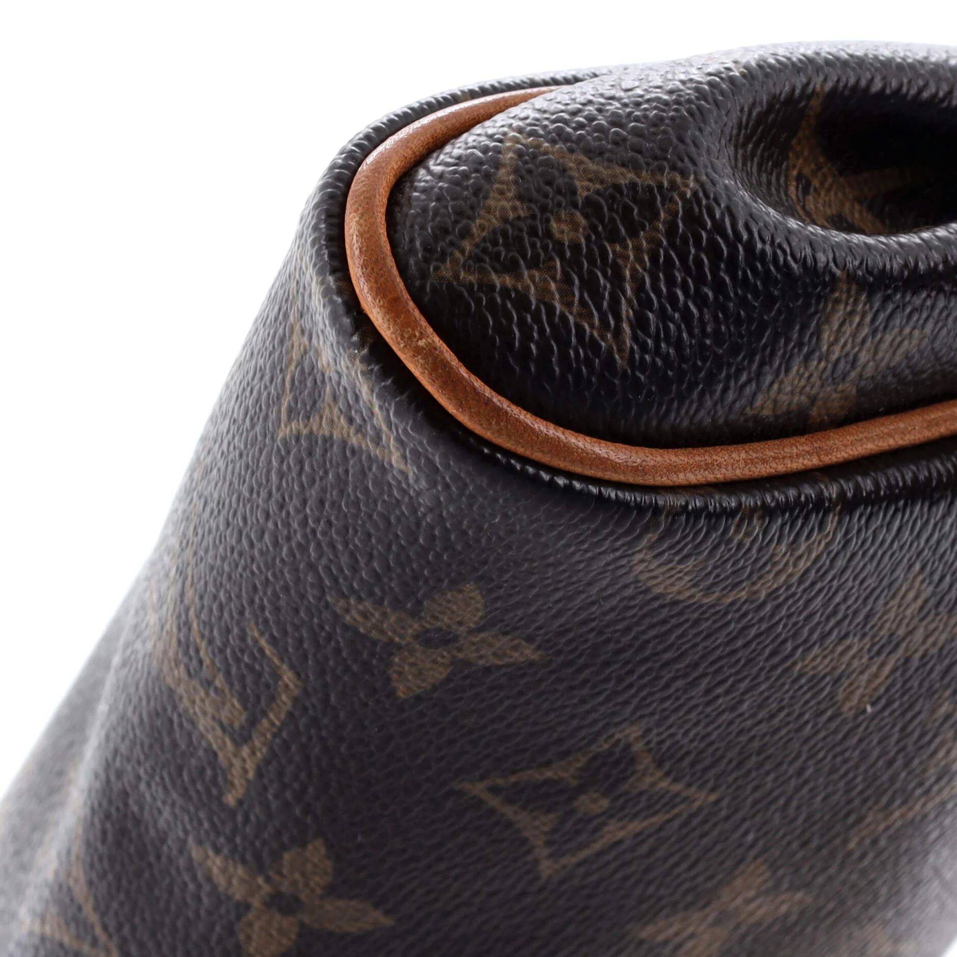 Eva Handbag Monogram Canvas - Image 7