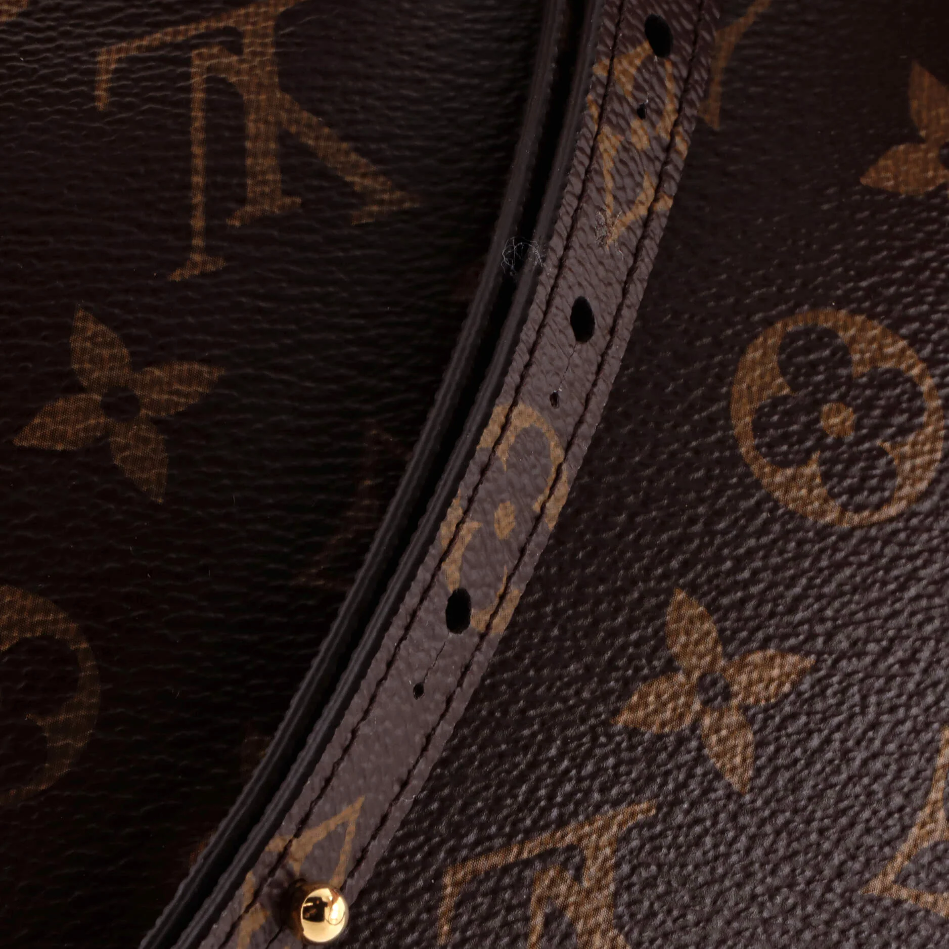 Excursion Backpack Monogram Canvas PM - Image 7