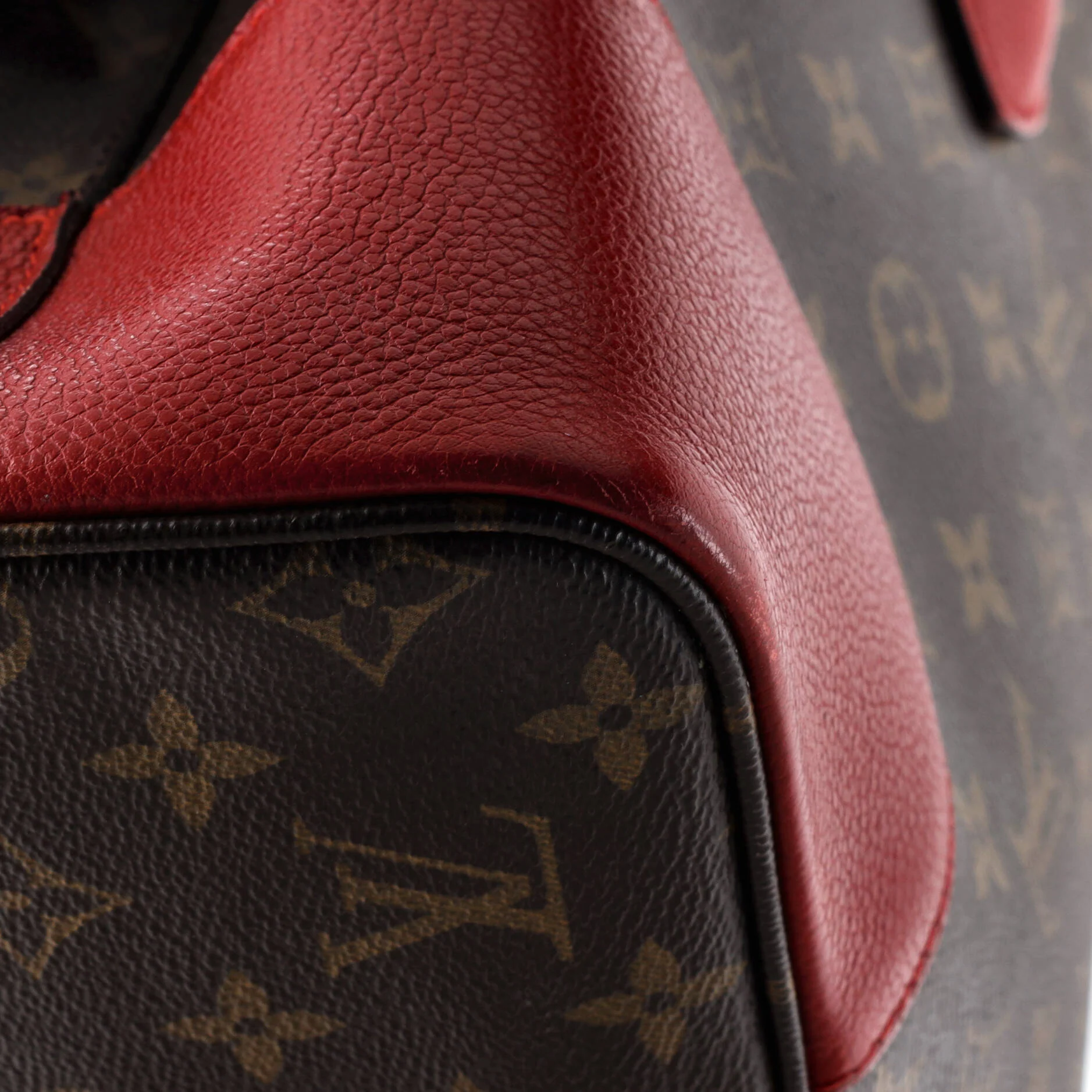 Flandrin Handbag Monogram Canvas and Leather - Image 6