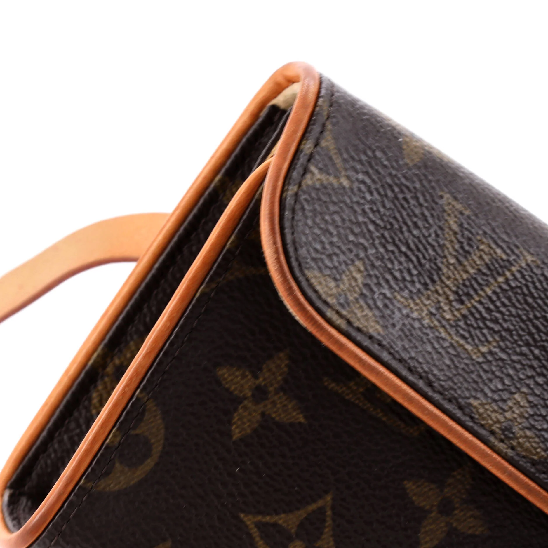 Florentine Waist Bag Monogram Canvas - Image 6