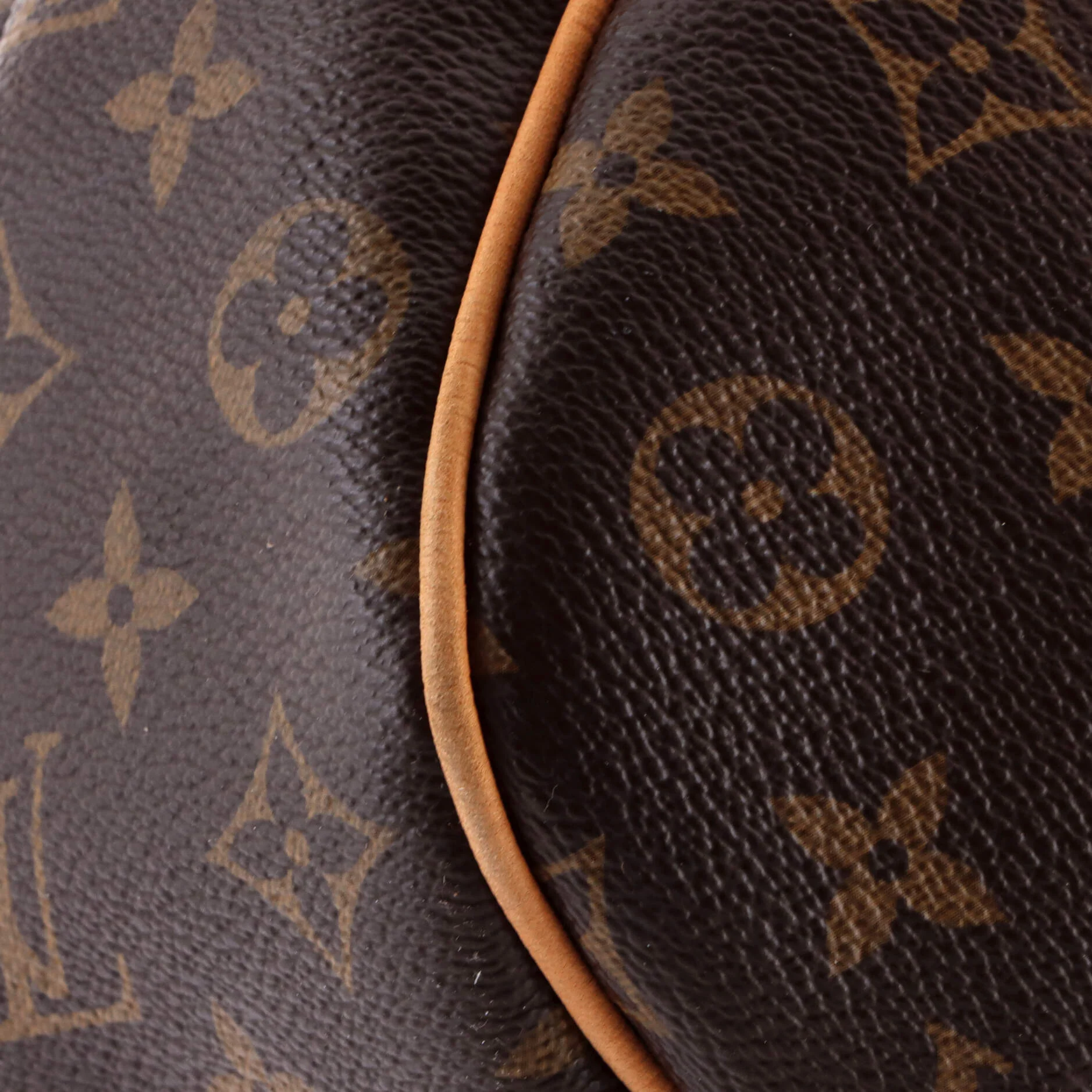 Galliera Handbag Monogram Canvas GM - Image 6