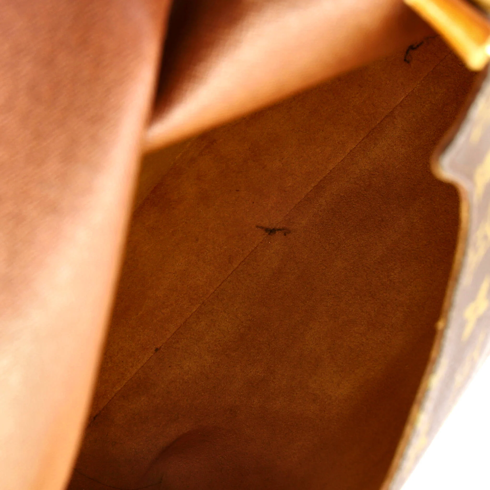 Musette Salsa Handbag Monogram Canvas GM - Image 5