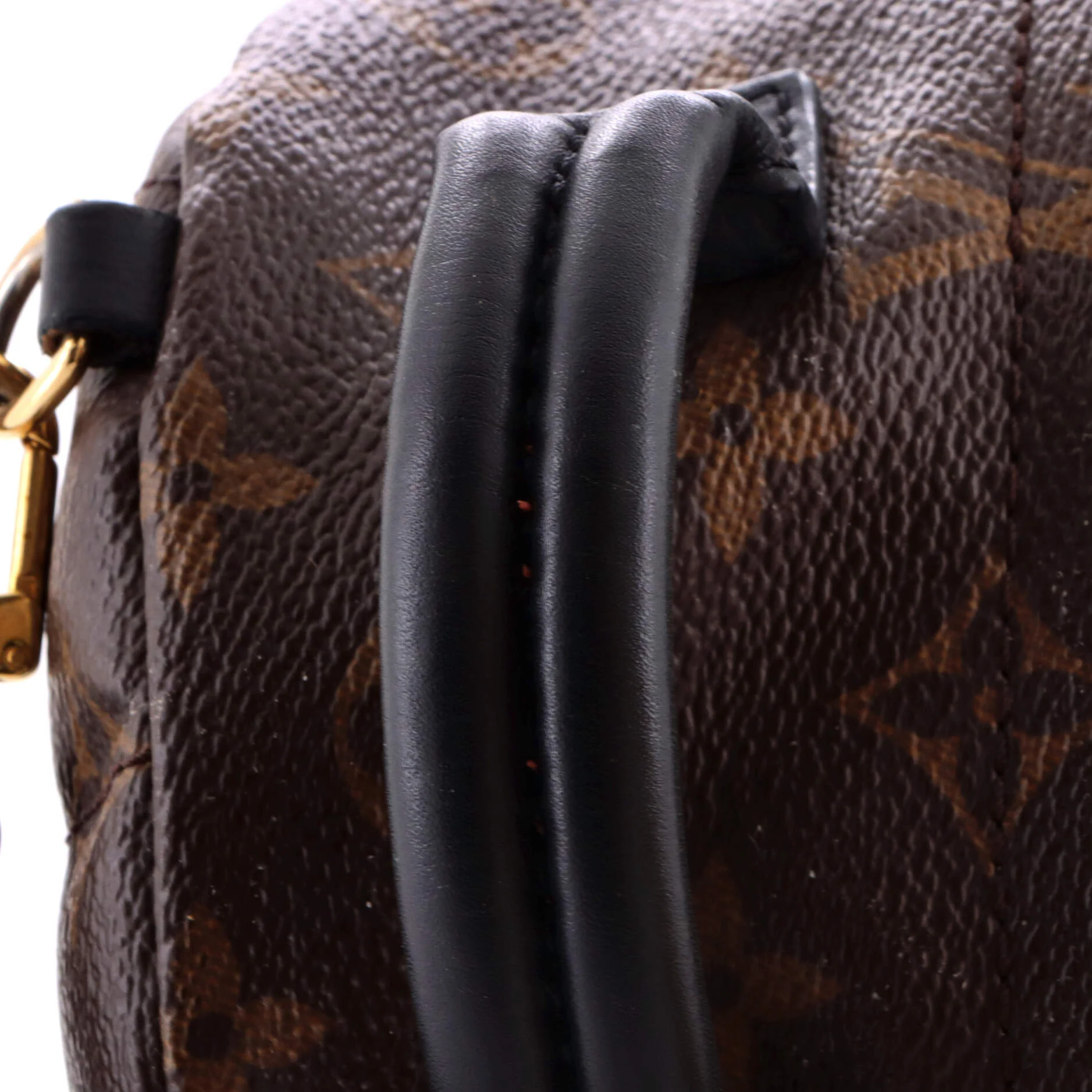 Palm Springs Backpack Monogram Canvas Mini - Image 7