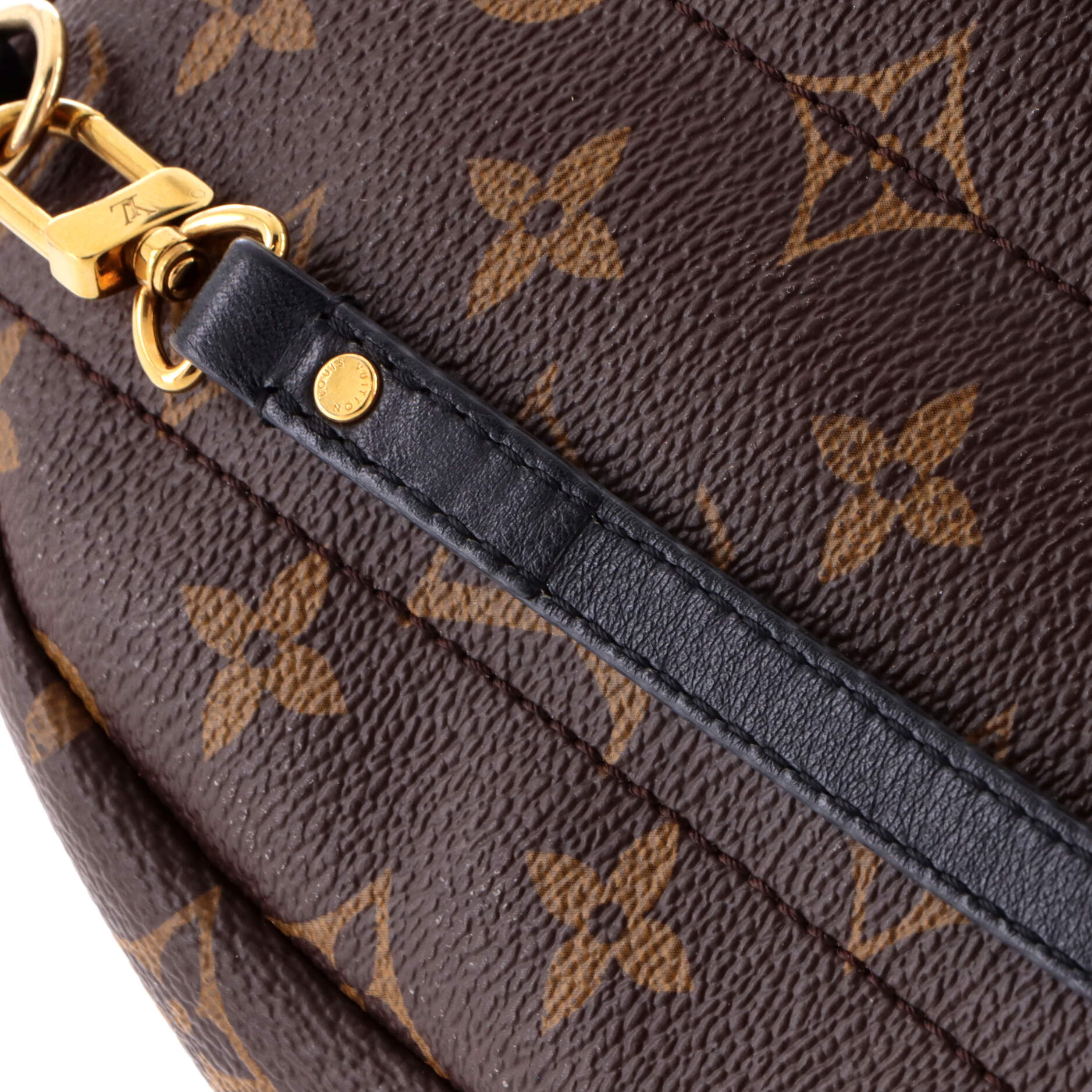 Palm Springs Backpack Monogram Canvas Mini - Image 7