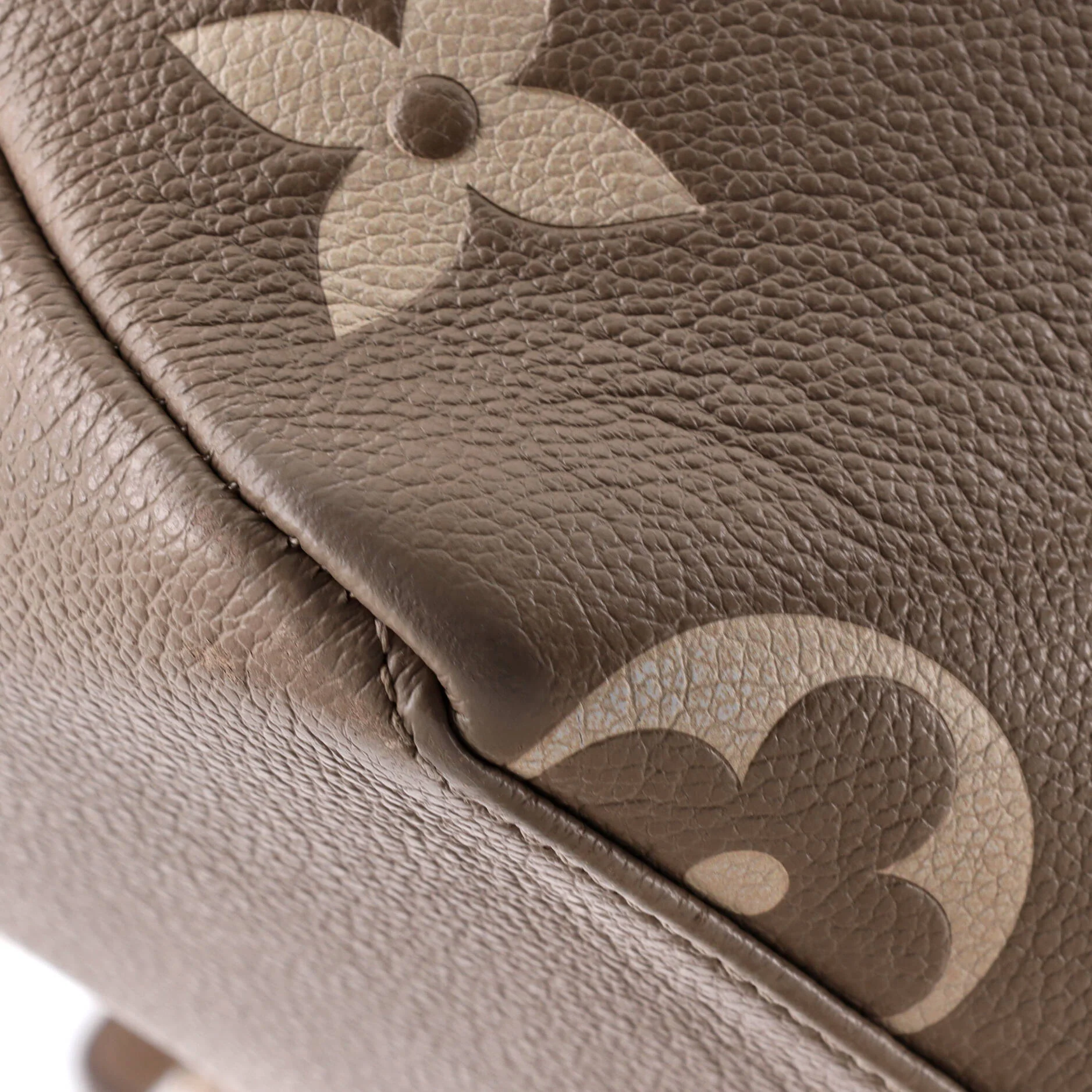 Petit Palais Handbag Bicolor Monogram Empreinte Giant - Image 6