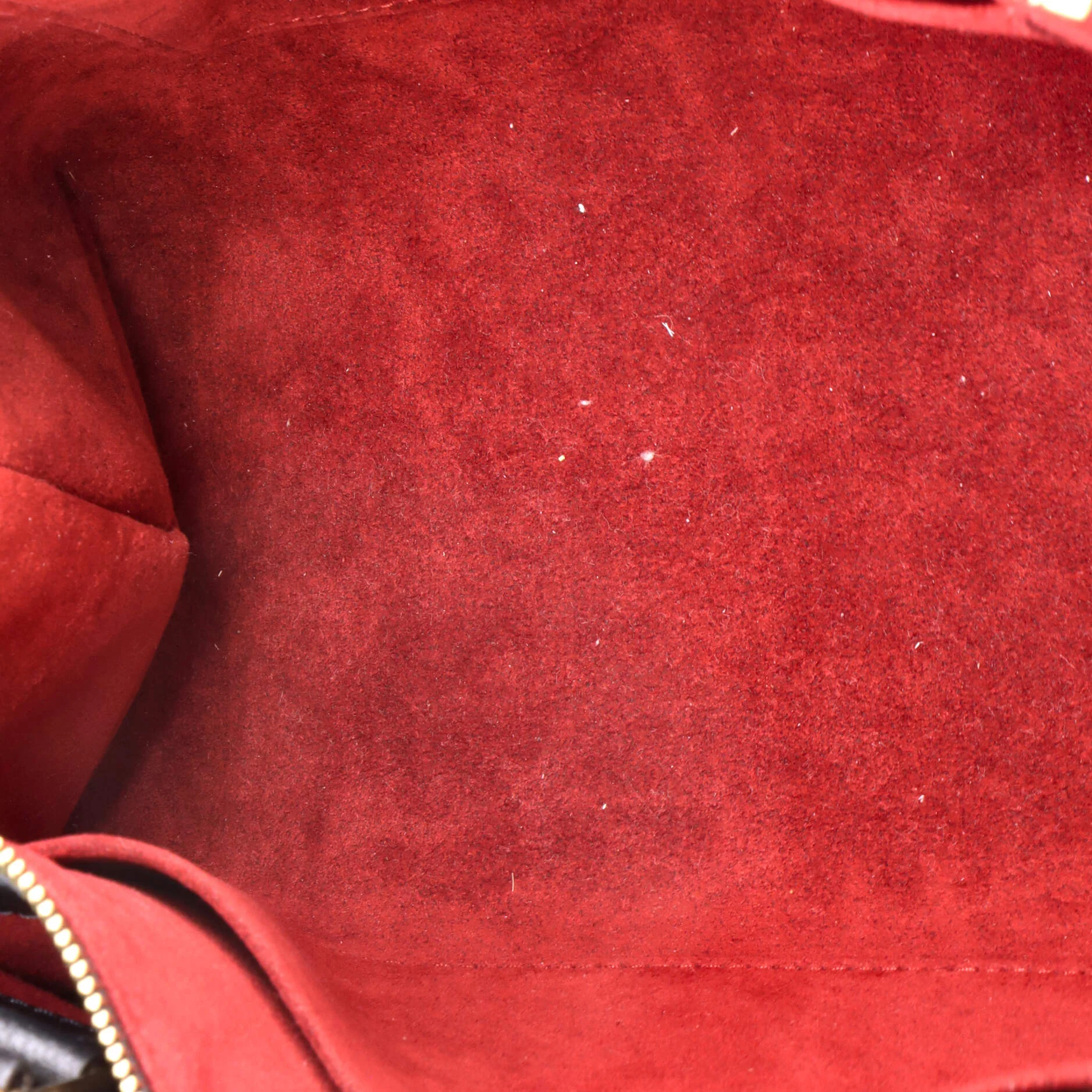 Petit Palais Handbag Monogram Empreinte Giant - Image 5