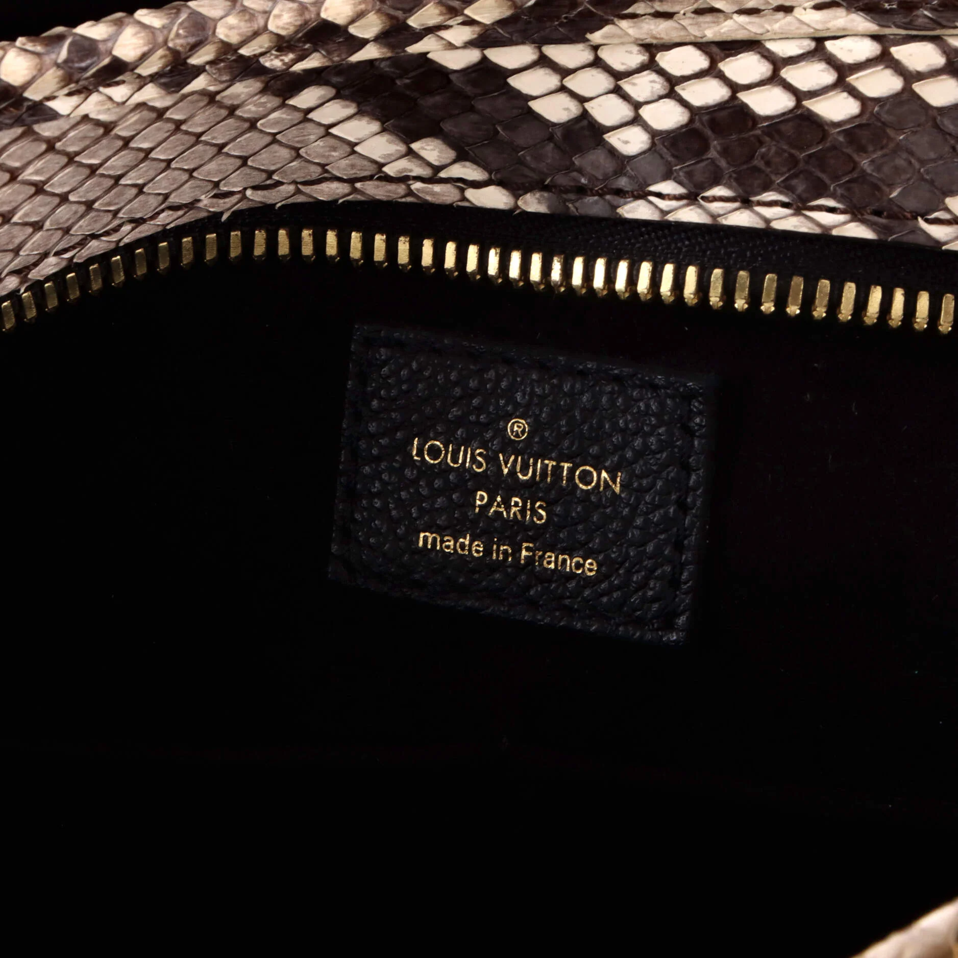 Popincourt NM Handbag Monogram Canvas with Python MM - Image 8