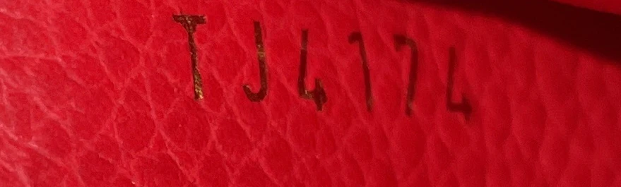 Saint Germain Pochette Monogram Empreinte Leather - Image 8