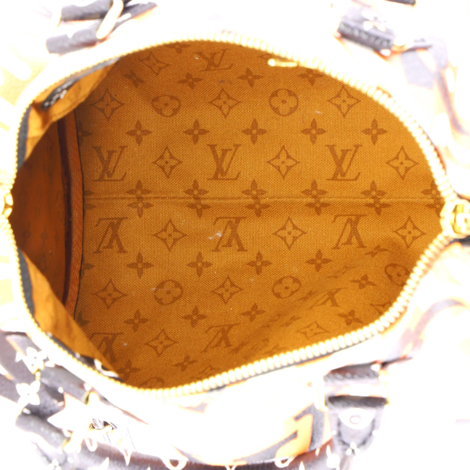 Speedy Bandouliere Bag Limited Edition Crafty Monogram Giant 25 - Image 5