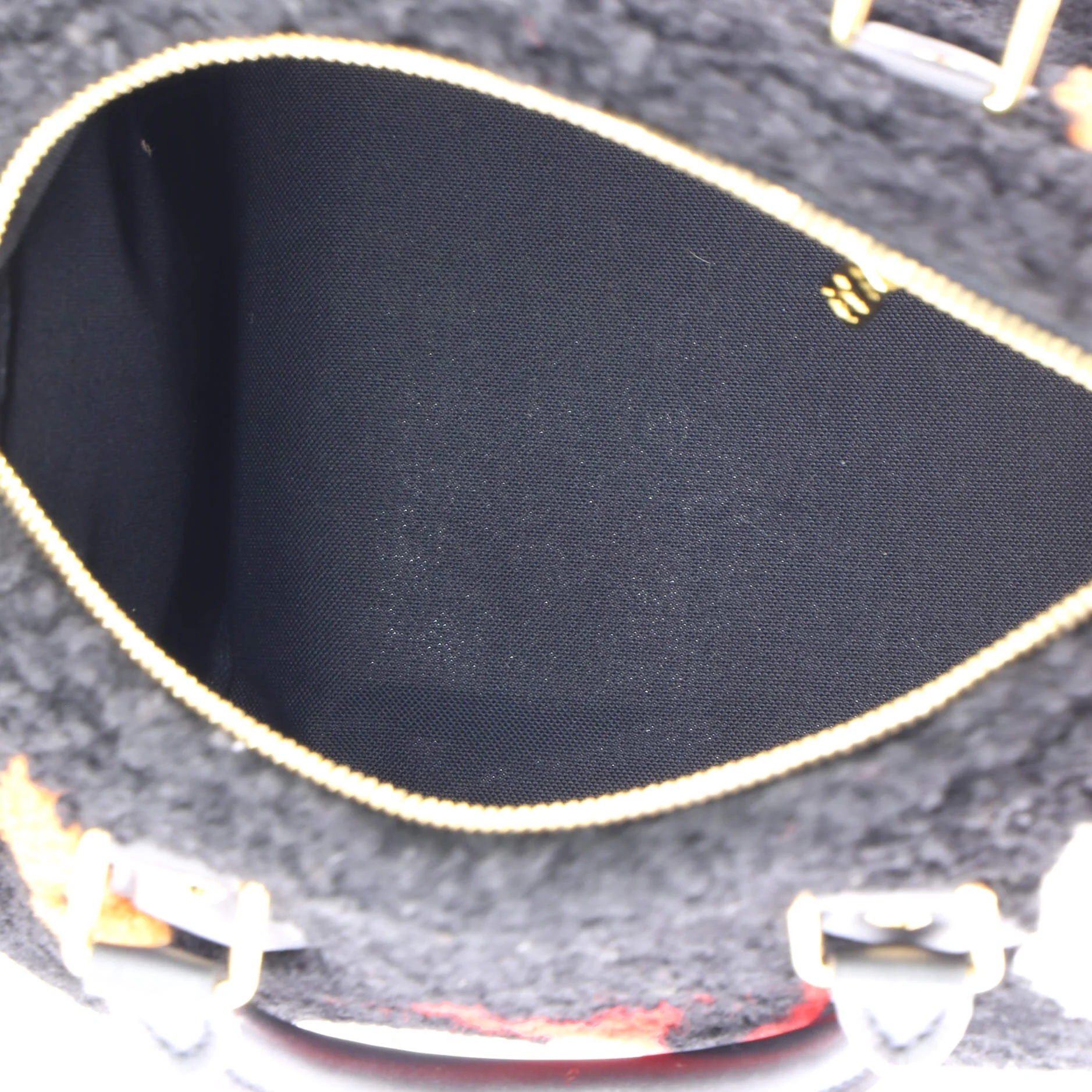 Speedy Bandouliere Bag Monogram Giant Teddy Fleece 25 - Image 5