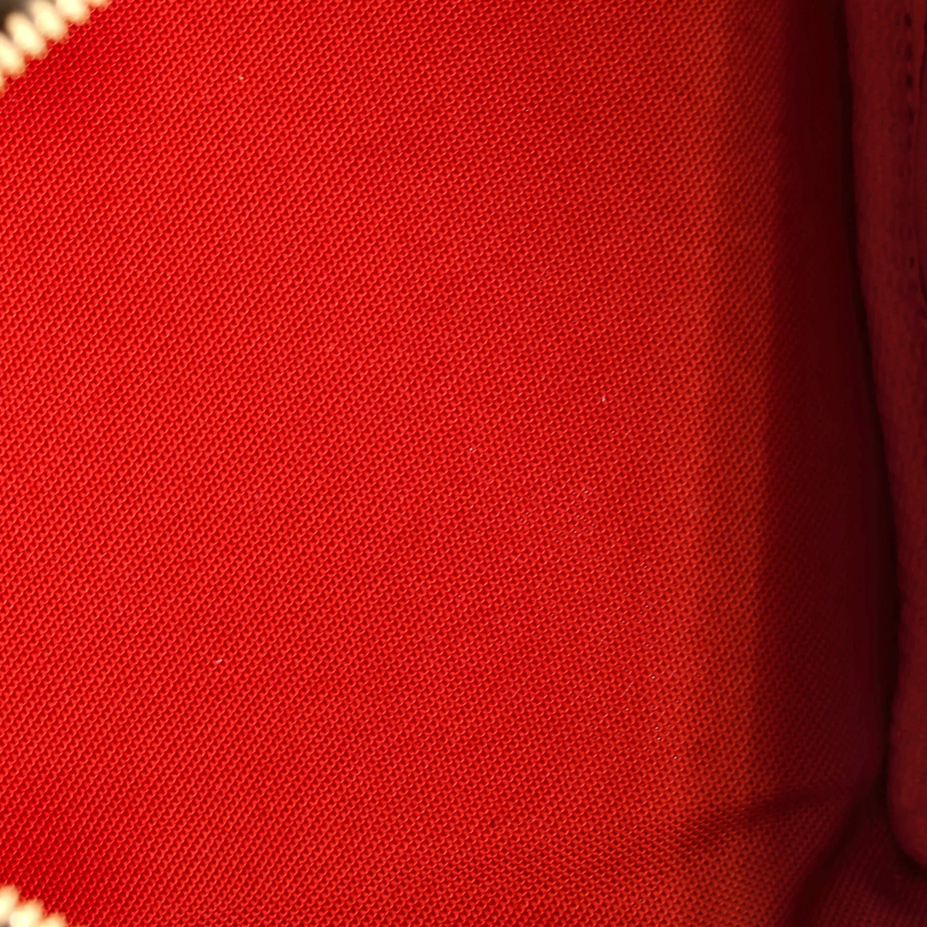 Speedy Bandouliere Bag Monogram Giant Teddy Fleece 25 - Image 5