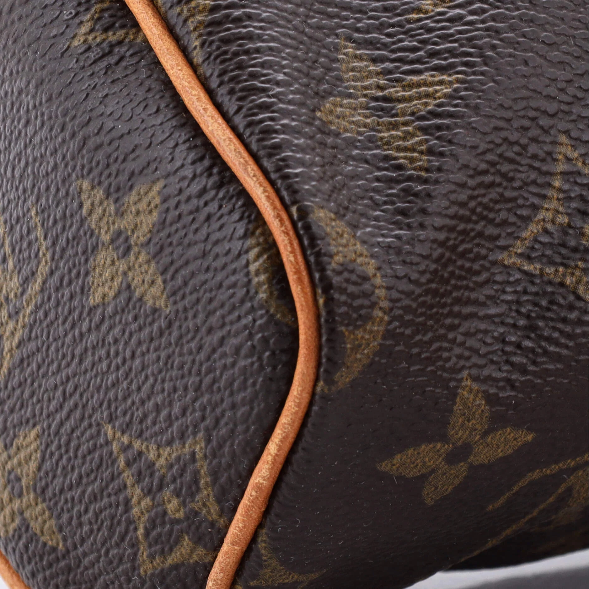 Speedy Mini HL Handbag Monogram Canvas - Image 6