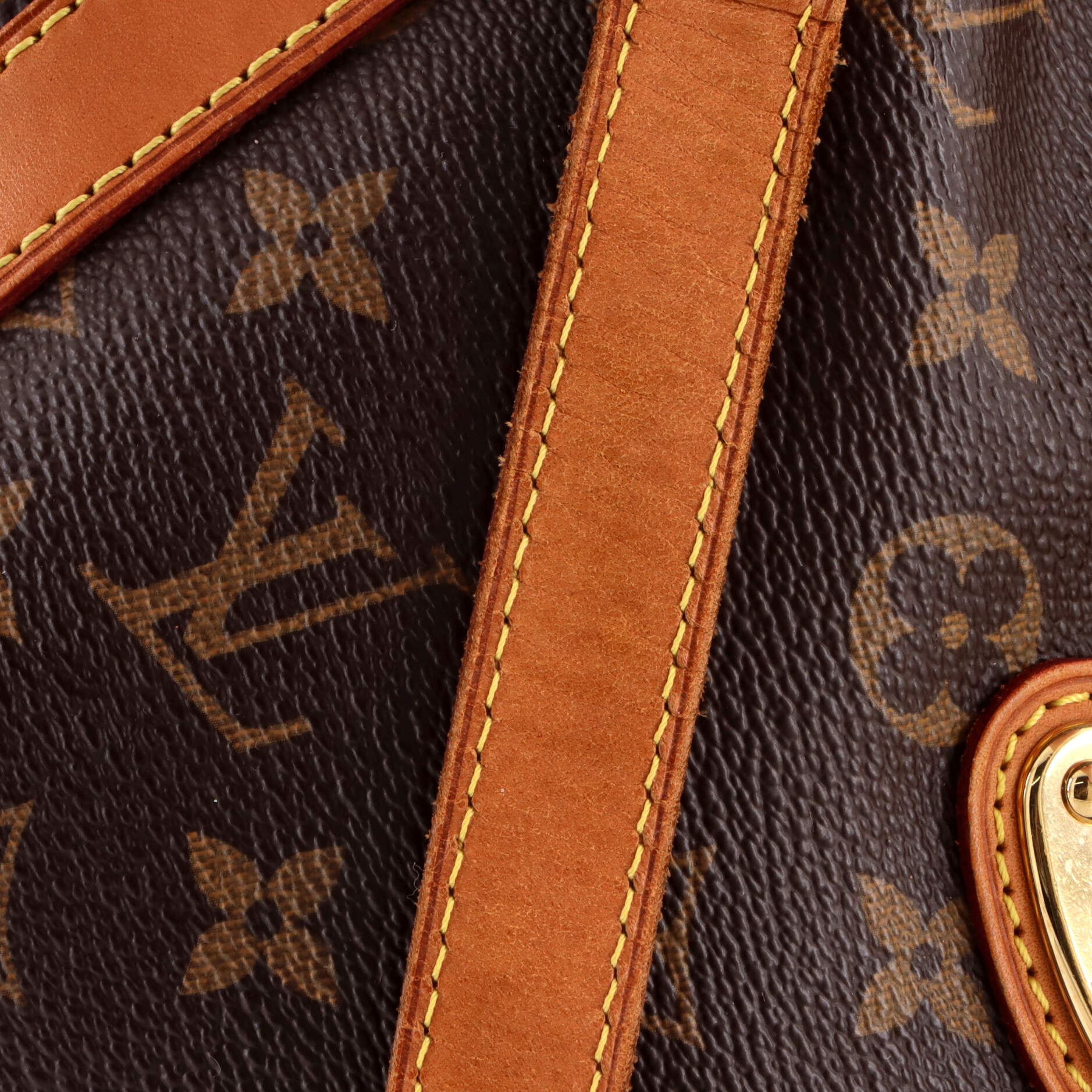Stresa Handbag Monogram Canvas GM - Image 8
