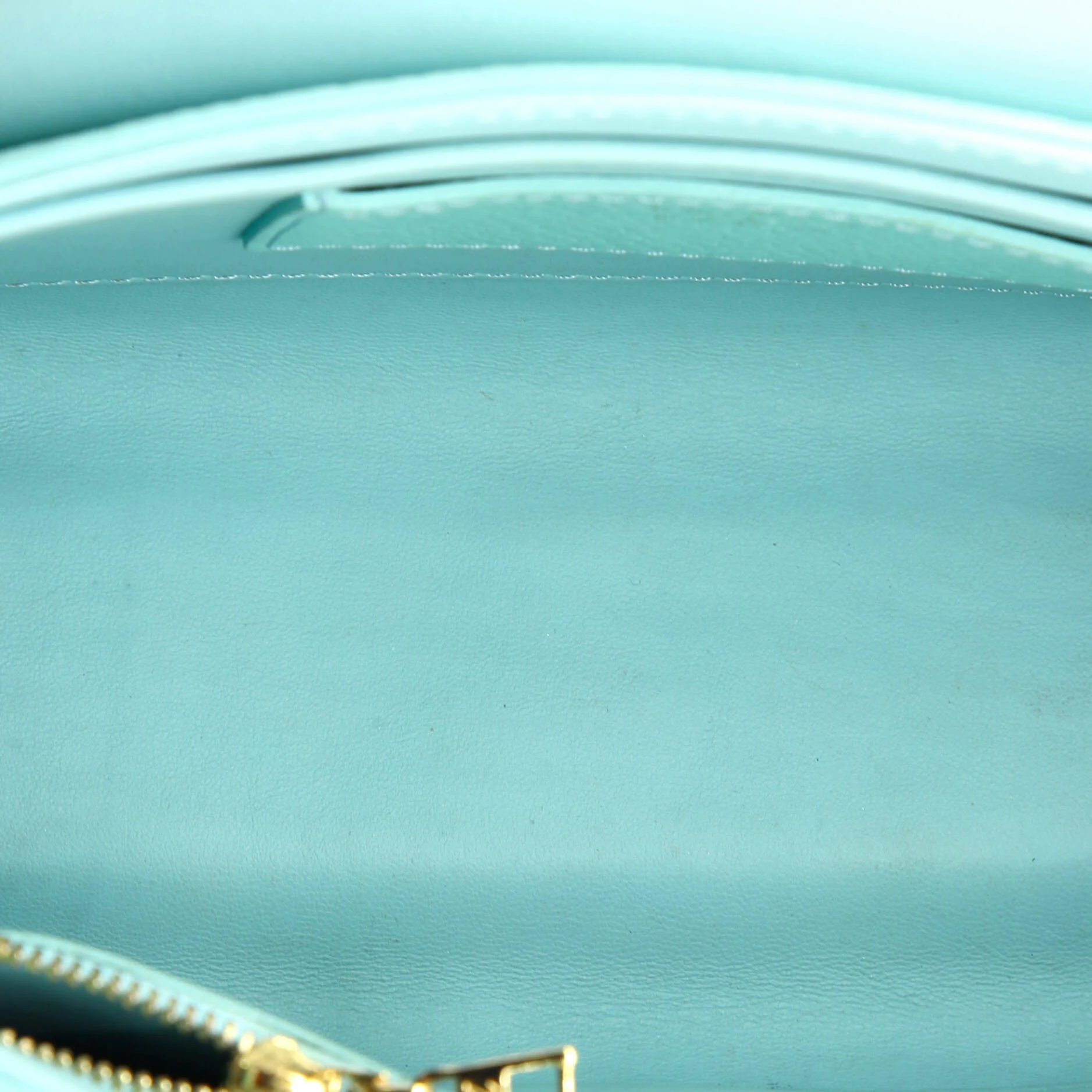 Summer Splash Twist Bag Iridescent Calfskin MM - Image 6