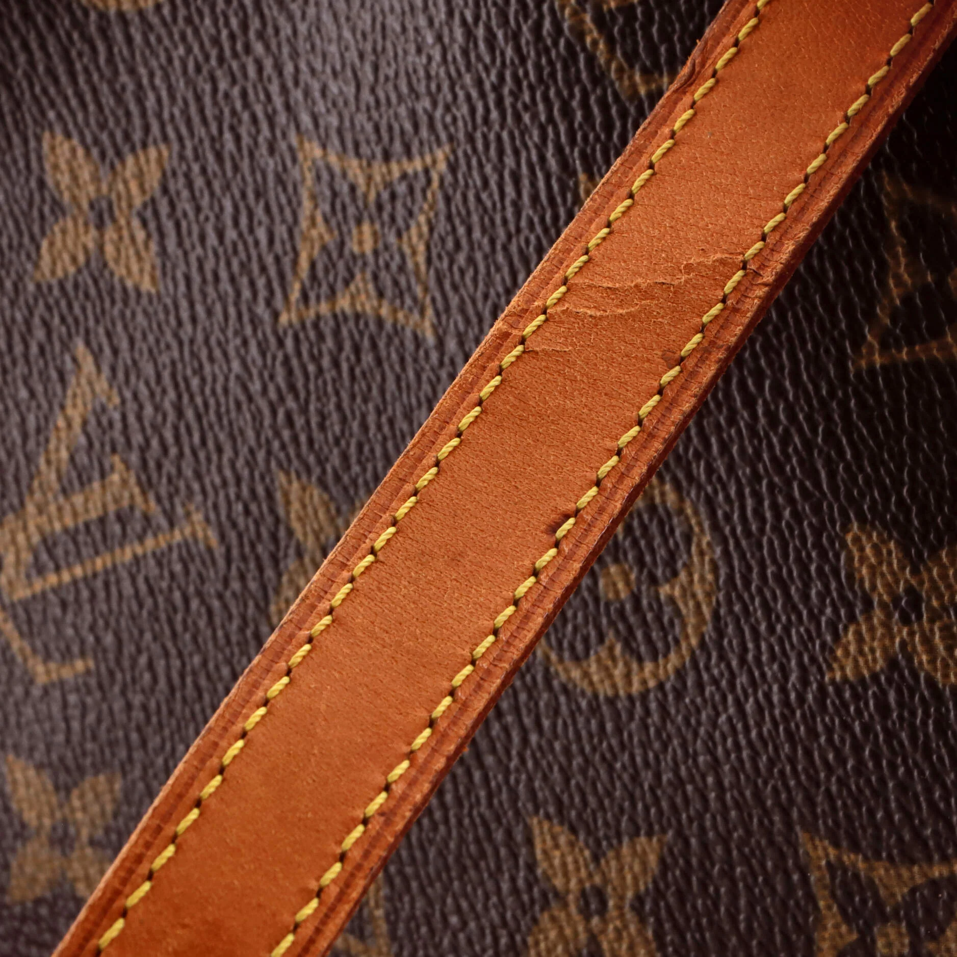Tambourine Handbag Monogram Canvas - Image 8