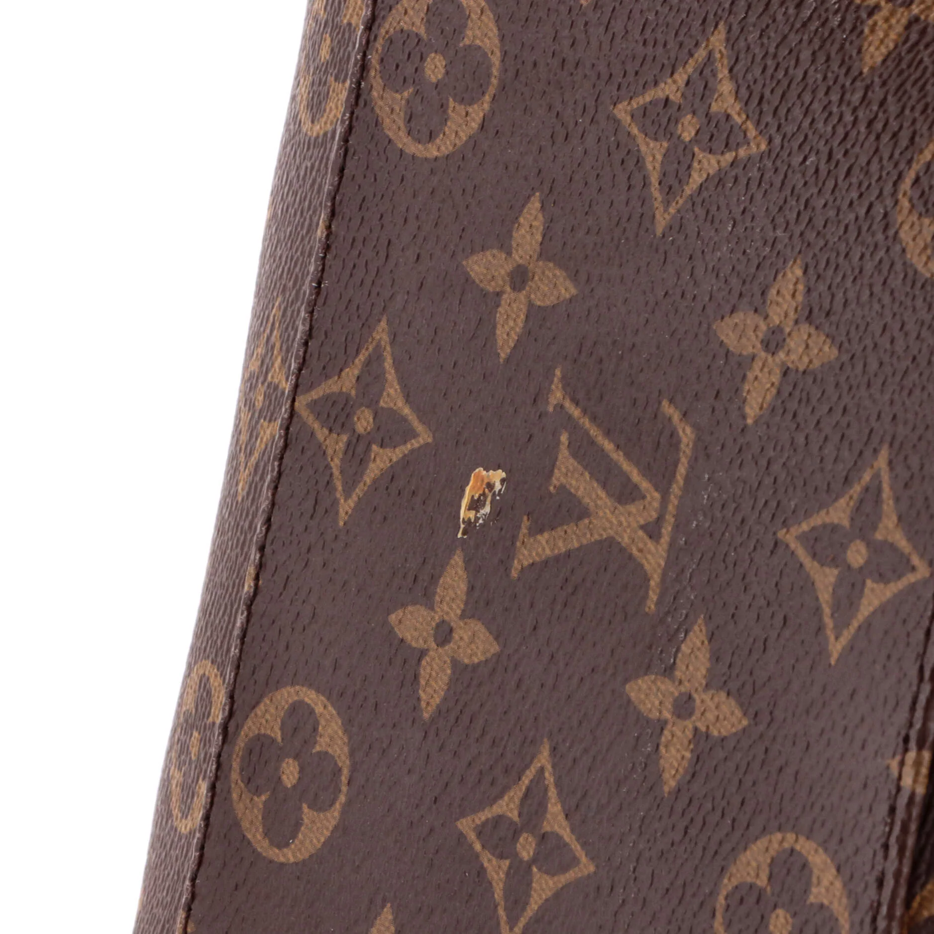 Tuileries Hobo Monogram Canvas with Leather - Image 6